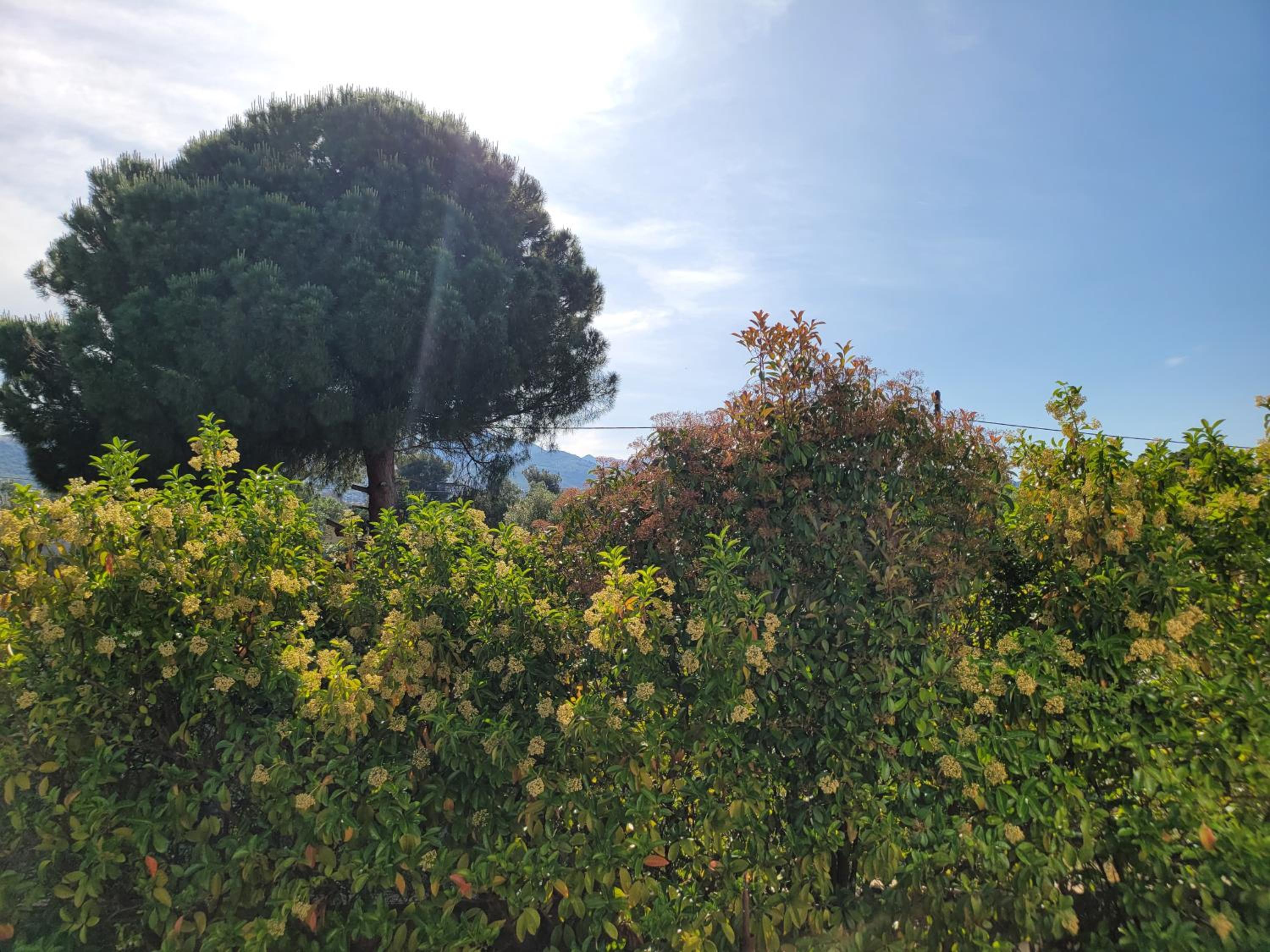 Photo 40