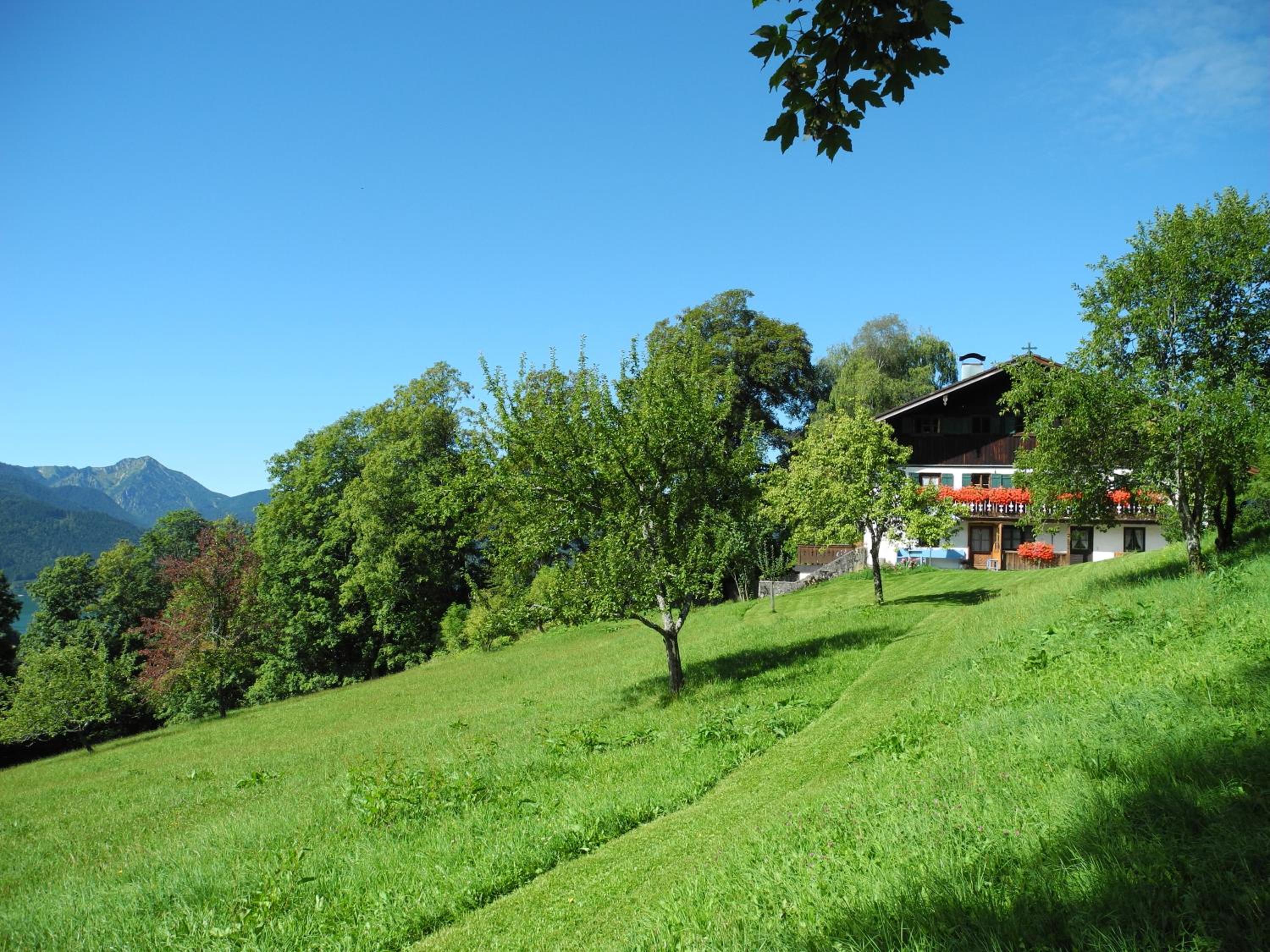 Berghütterl - Ferienhaus Ingerlhof