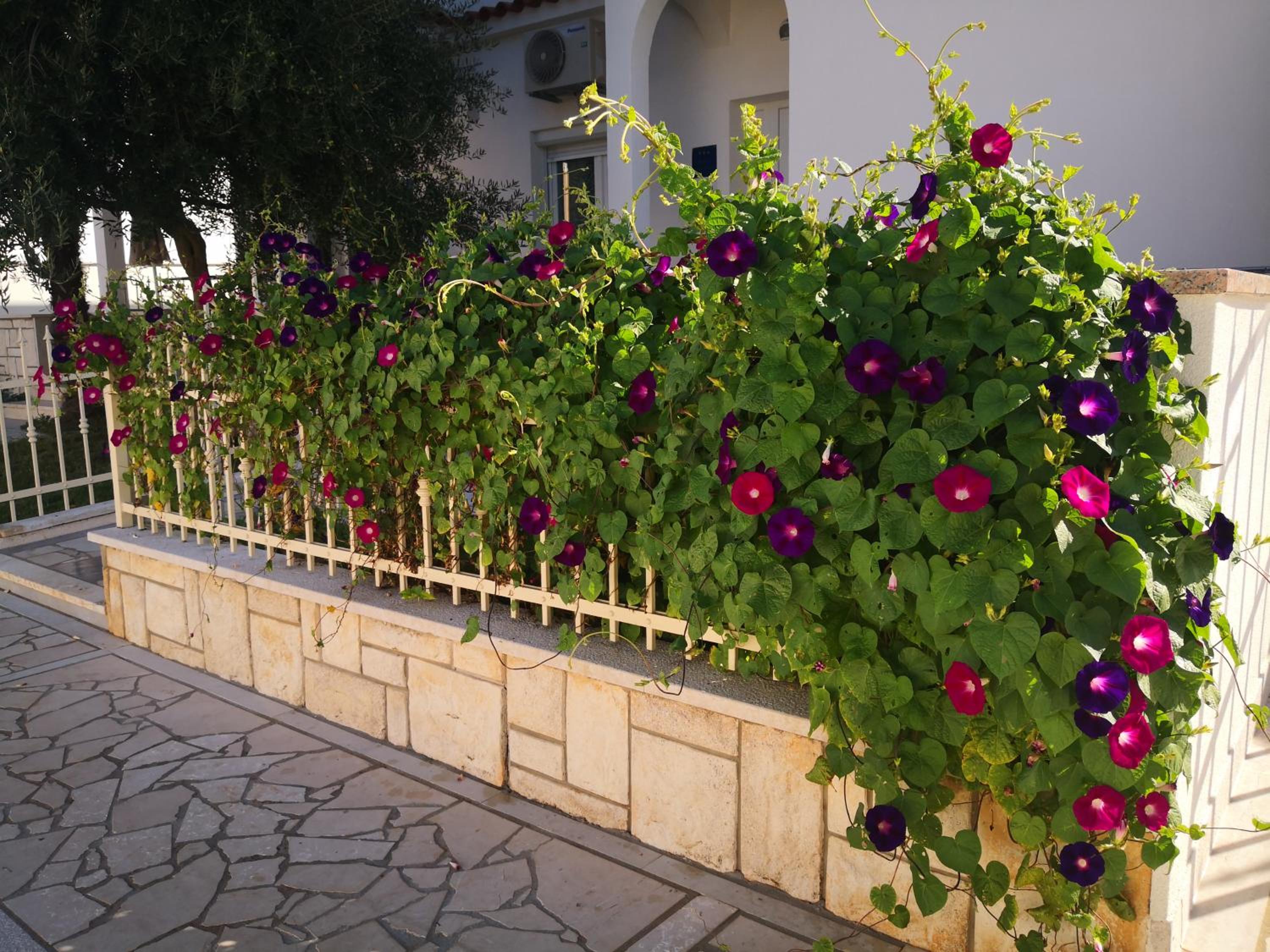 PALACE Apartments Poreč