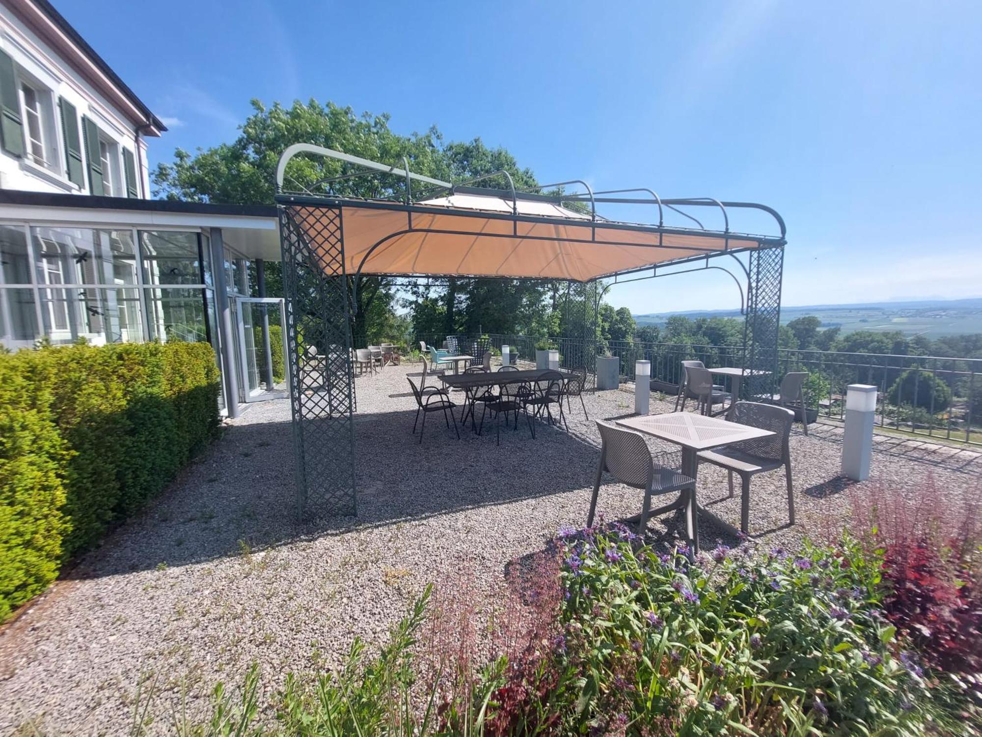 outdoor BBQ area