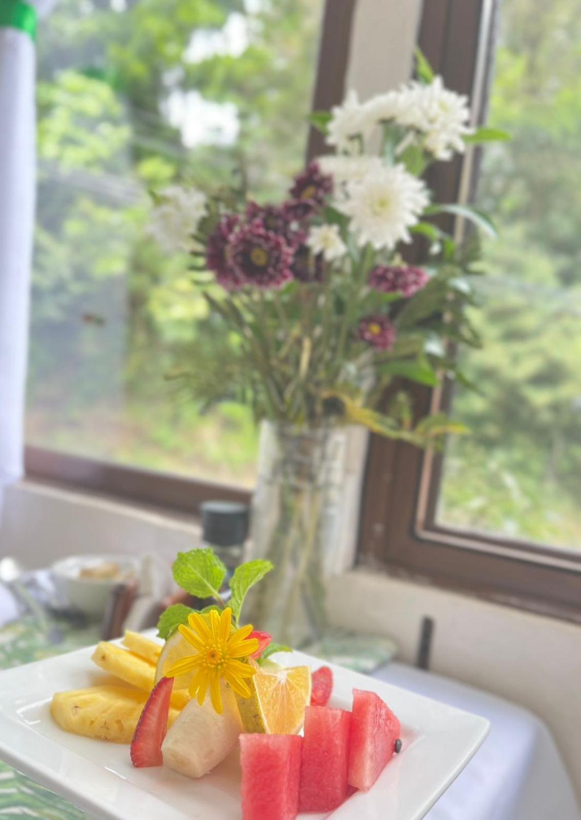 Freddy`s Place B&B