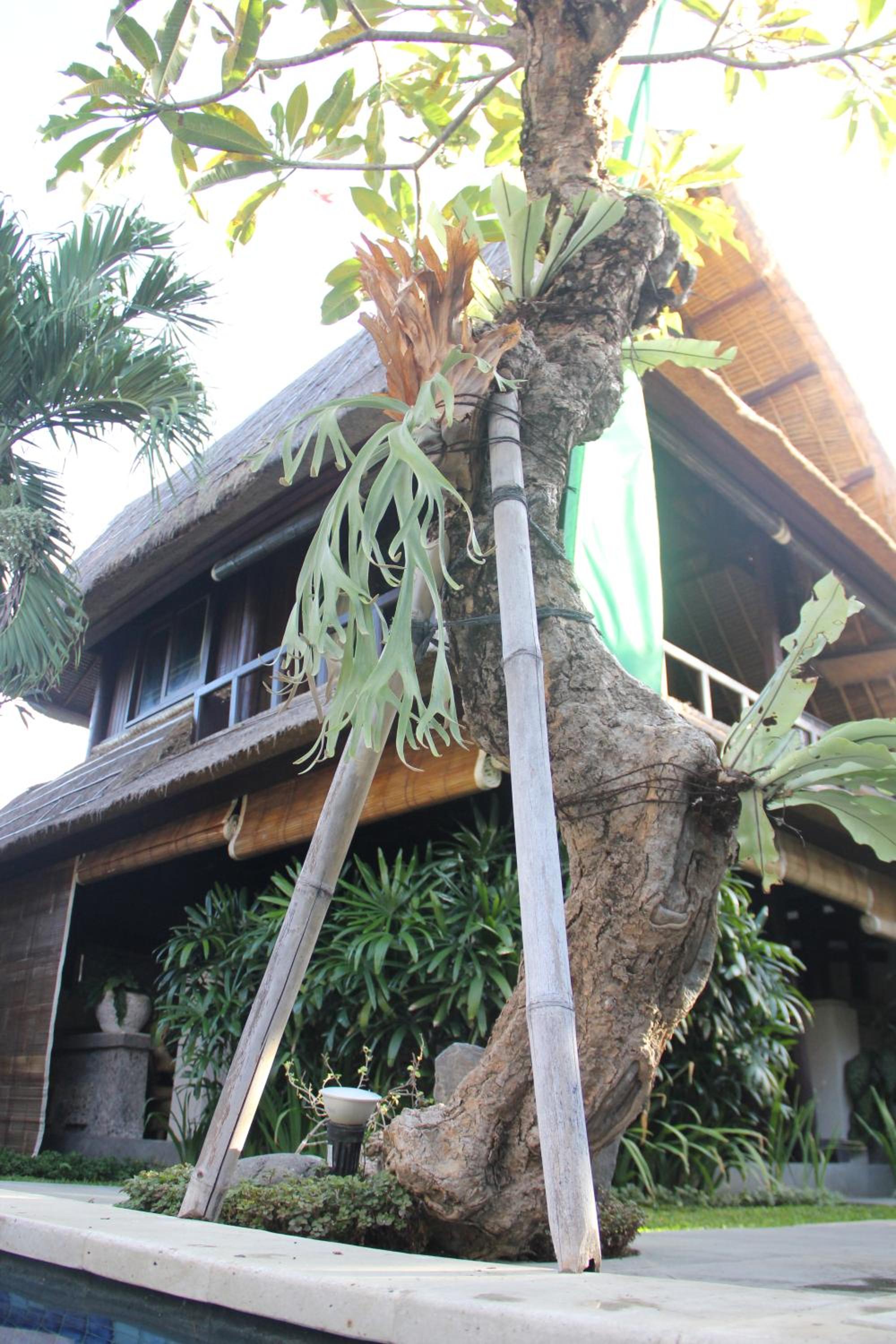 Radiant Jepun Villa