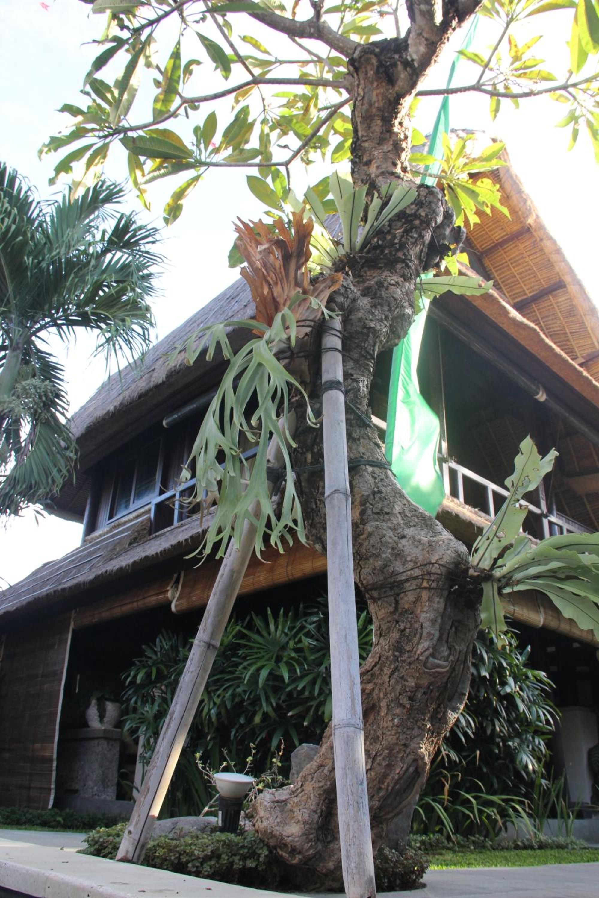 Radiant Jepun Villa