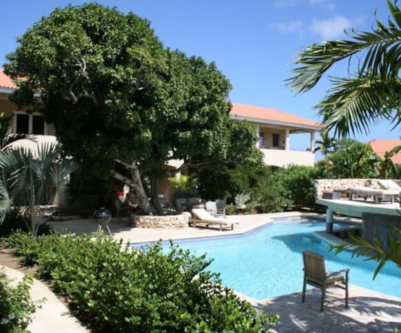Caribbean Happyness