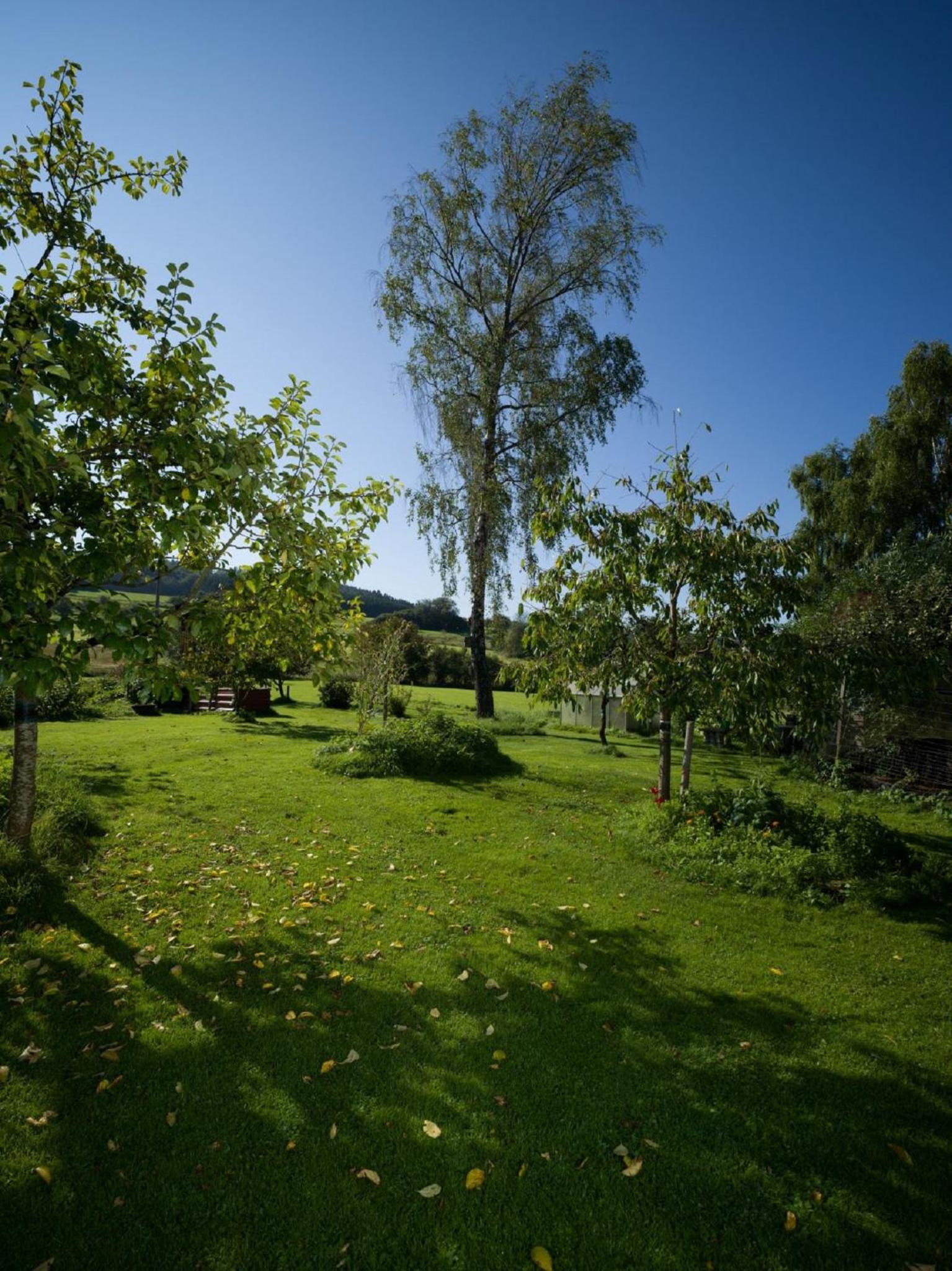Ferienhaus an der Austwies