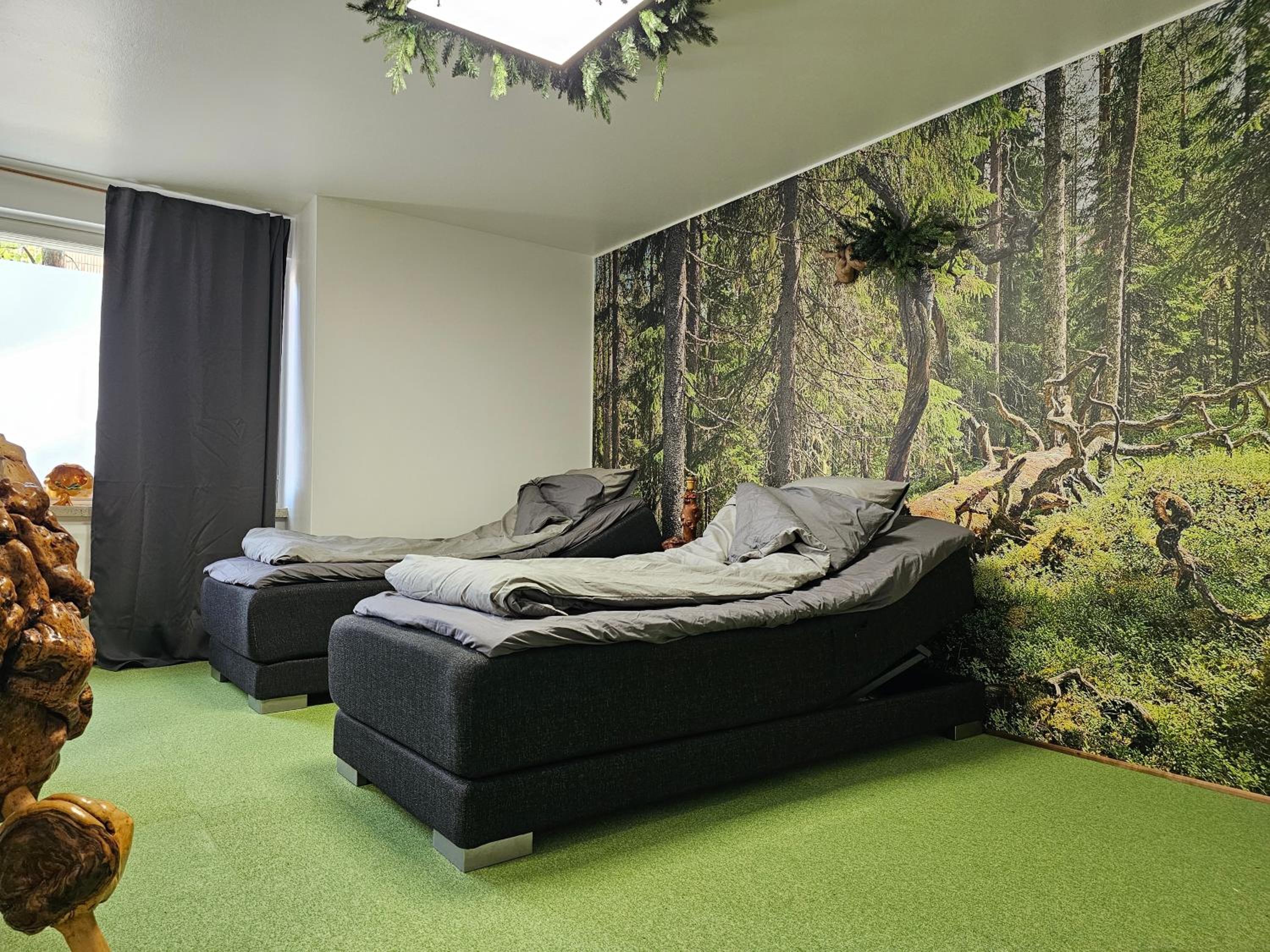 ROVIO REST IN FOREST