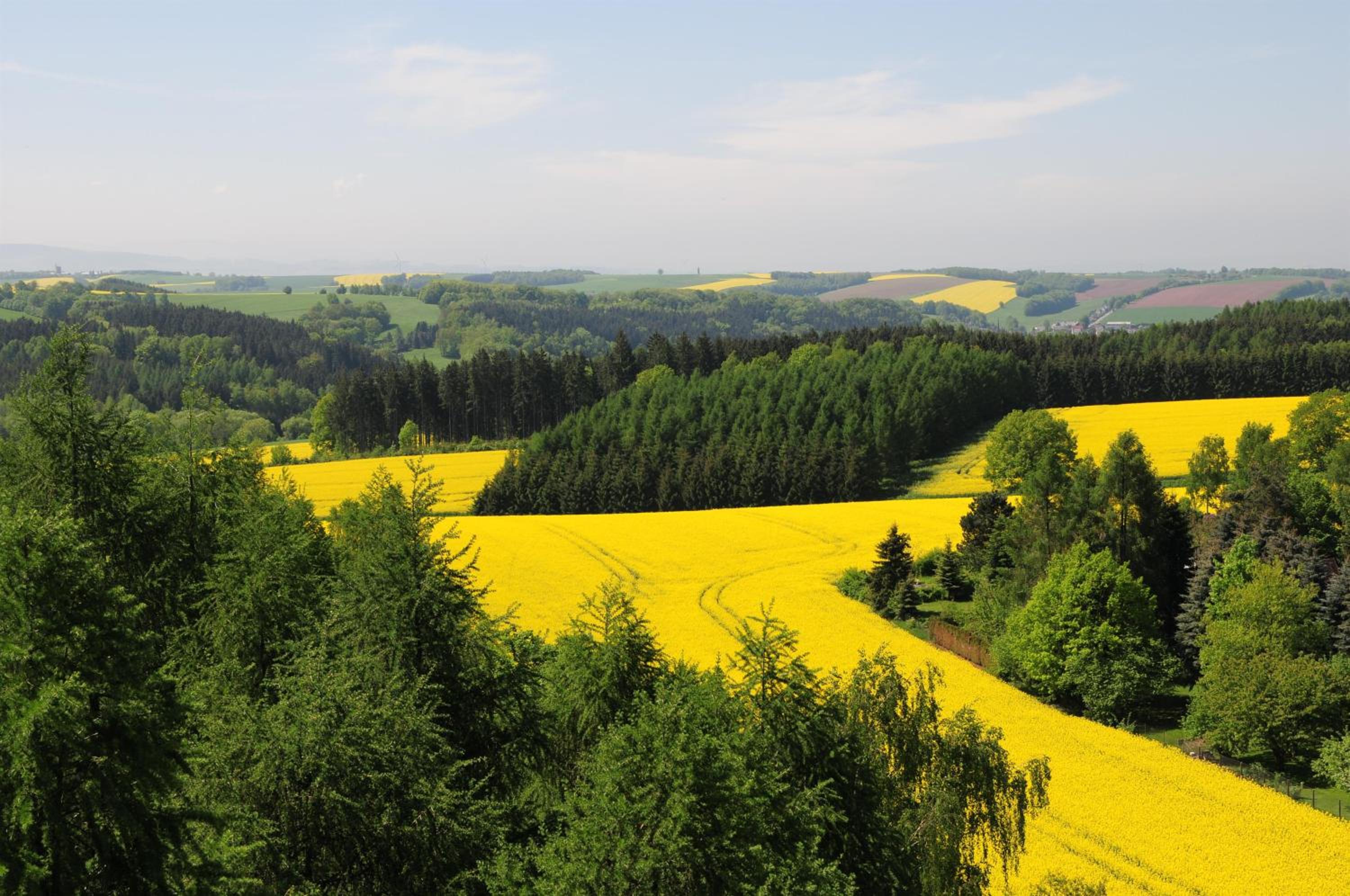 FEWO An der Linde Mülsen