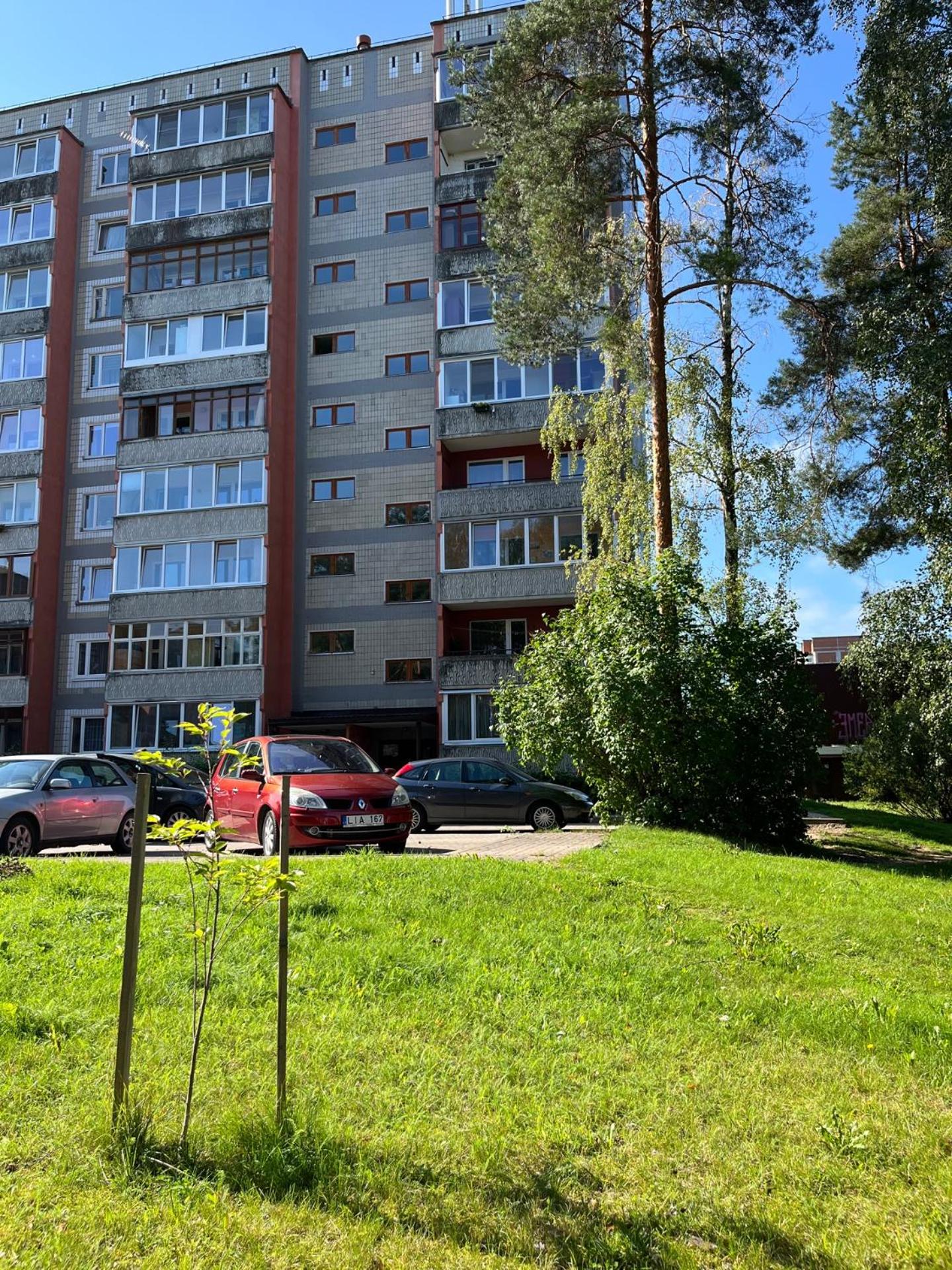 Pine Apartment