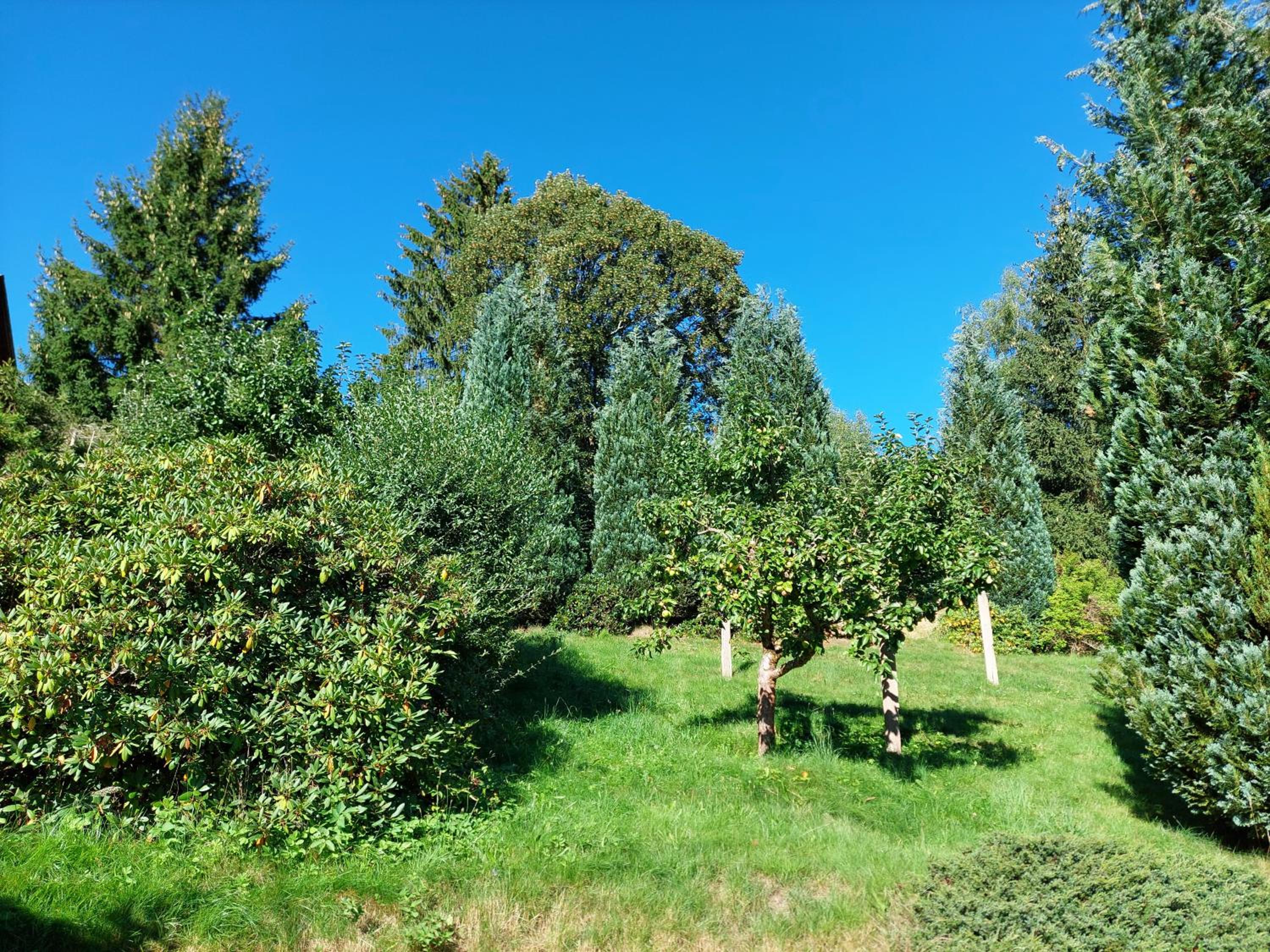 Villa Helvetia