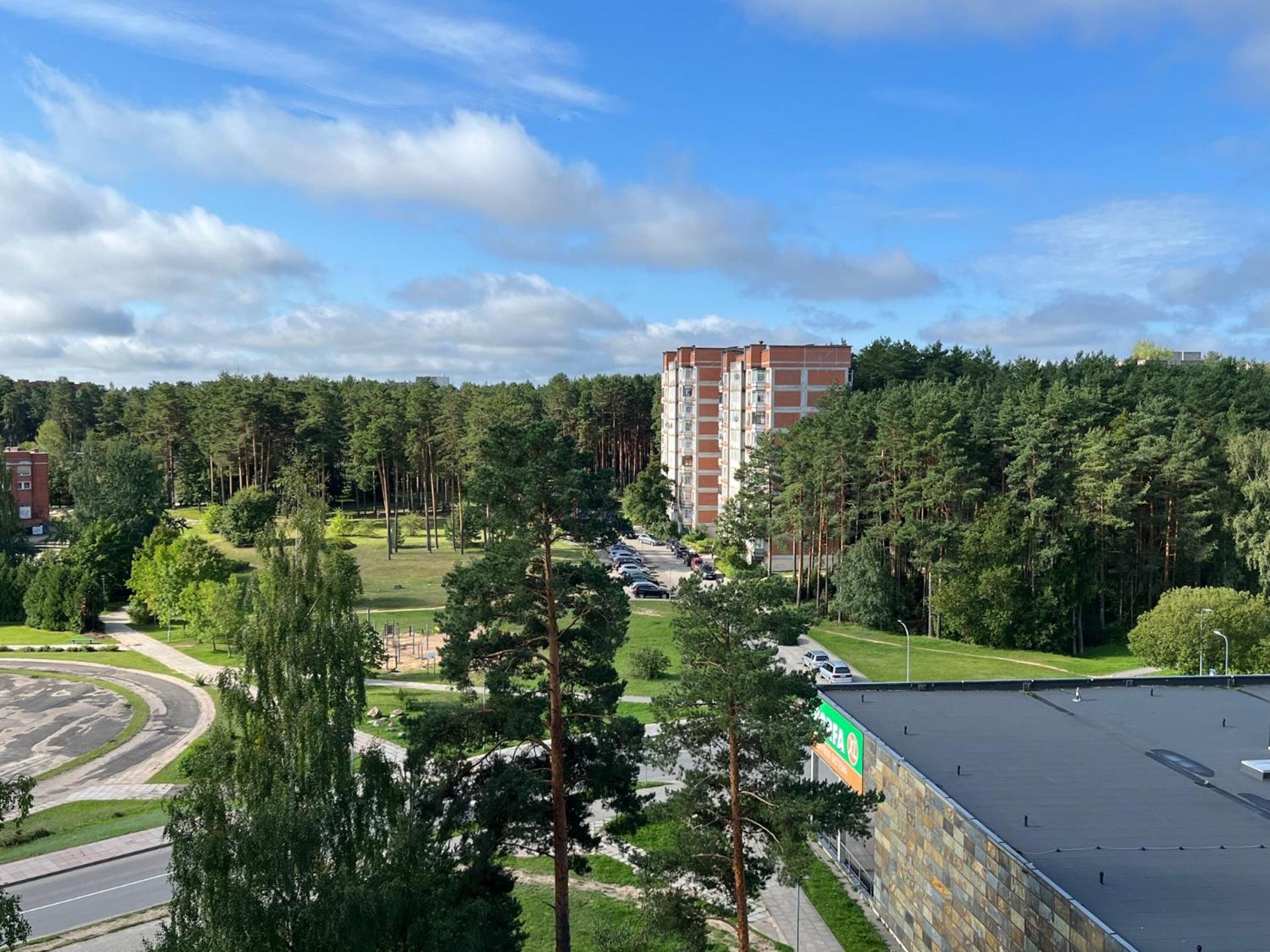Pine Apartment