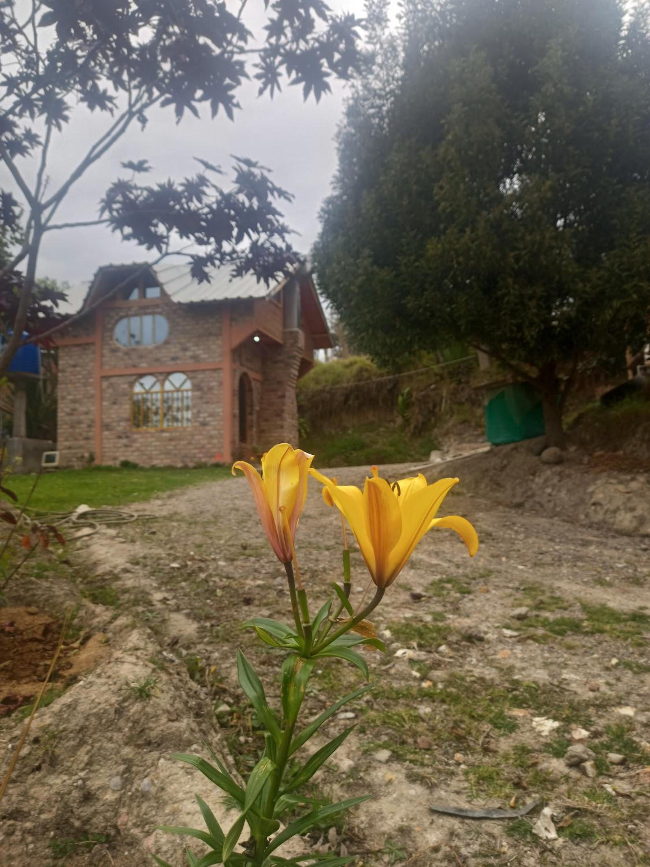 El SOL al ALVA
