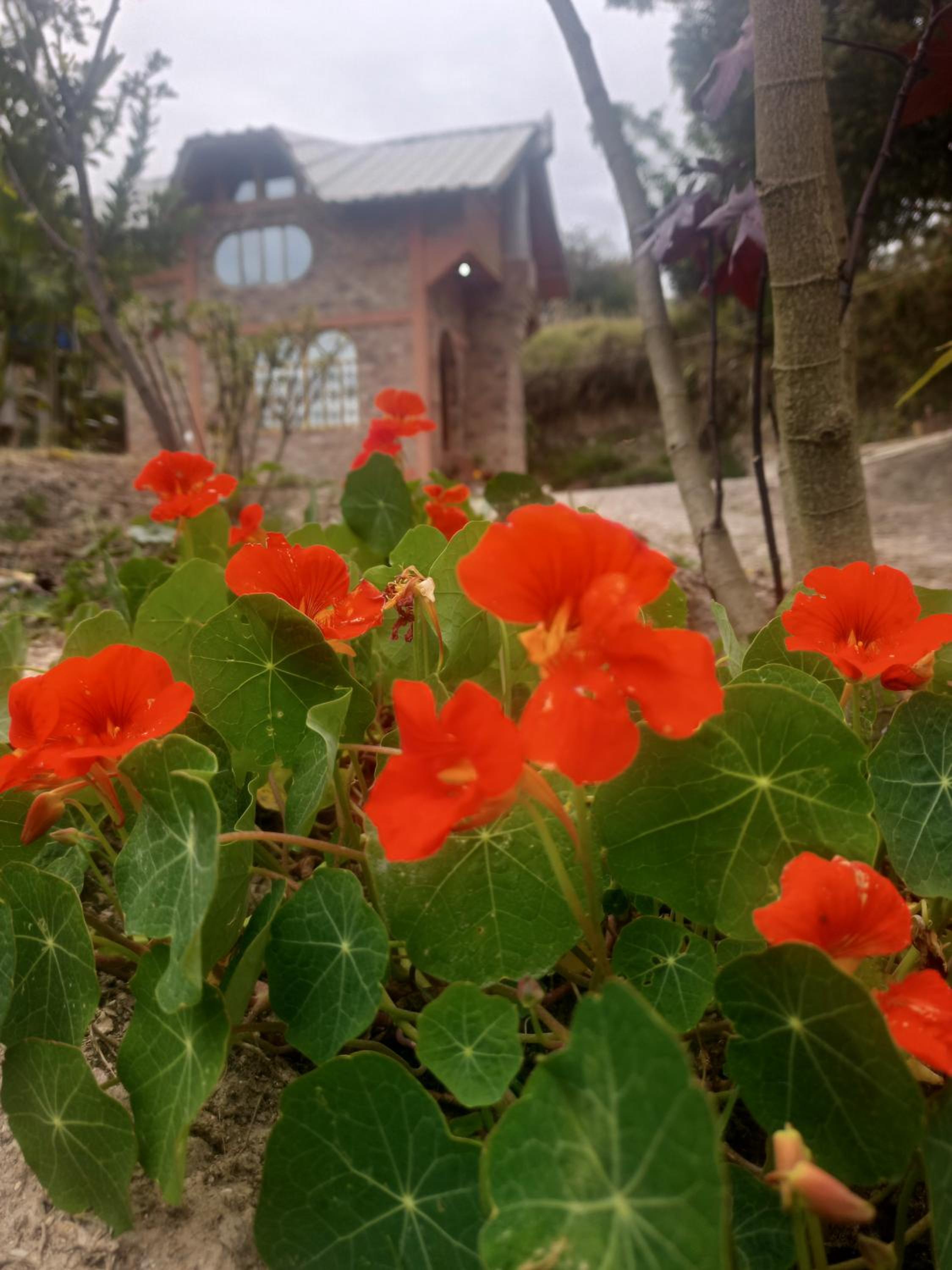 El SOL al ALVA