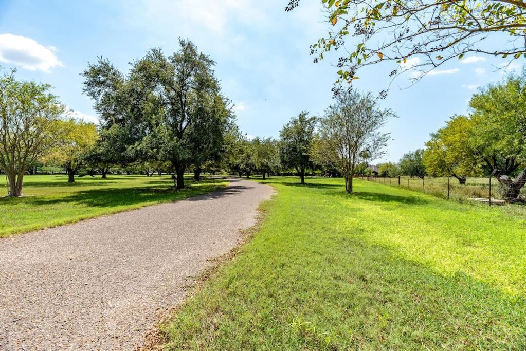 Casa Rayo de Sol - Private ranch guest home view 4