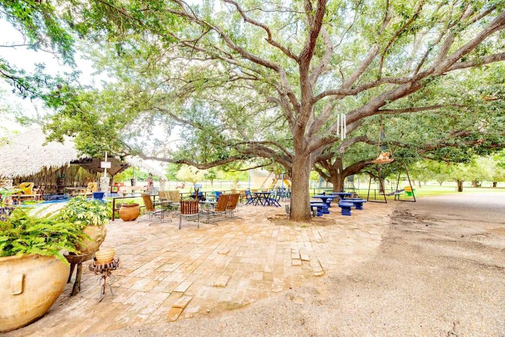 Photo 48