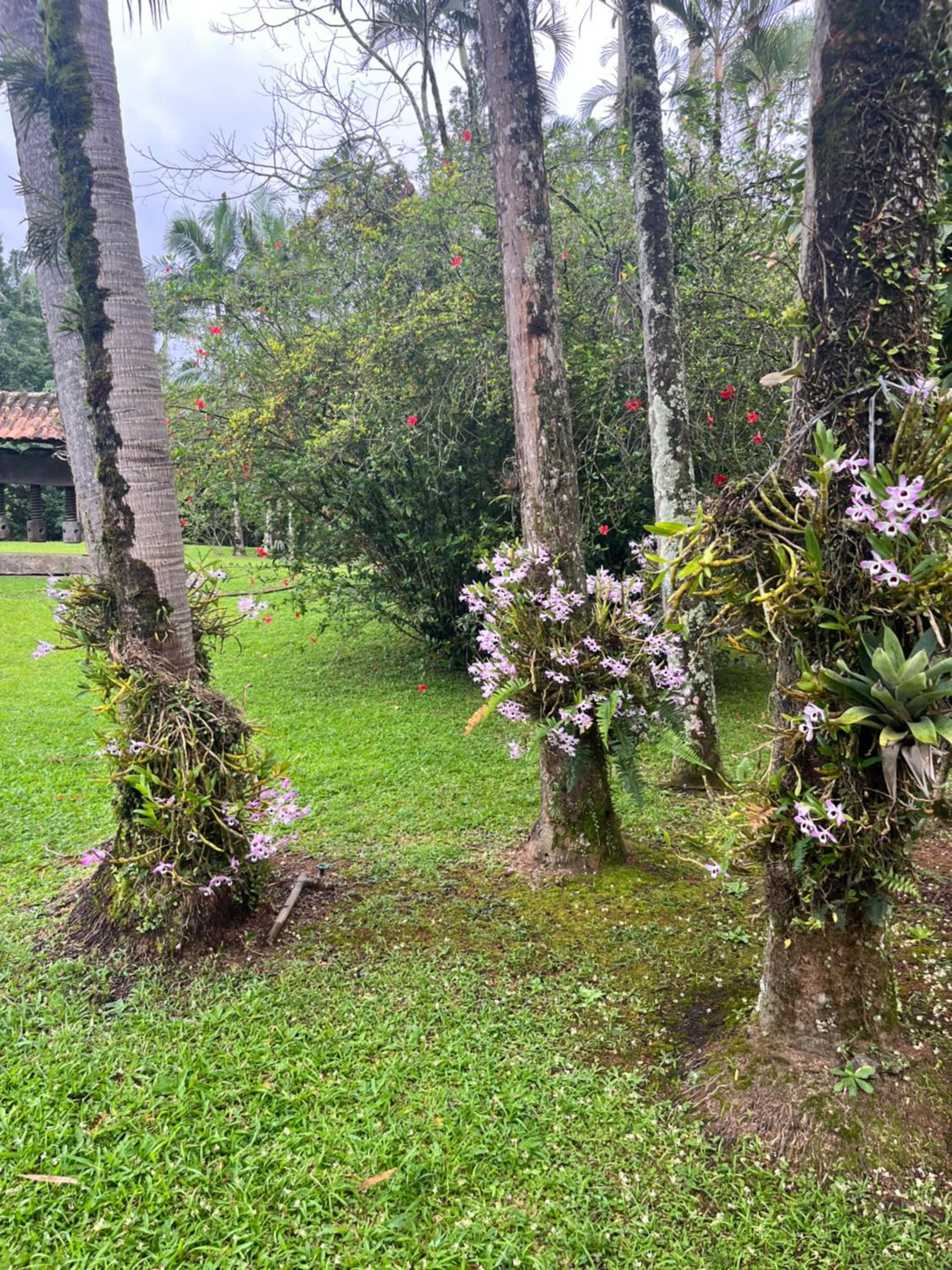 Casa de Campo no Centro de Pomerode