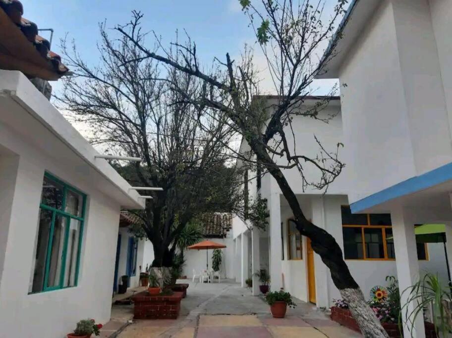Departamento céntricoA.Con wifi de alta velocidad view 3