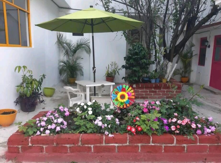 Departamento céntricoA.Con wifi de alta velocidad view 4