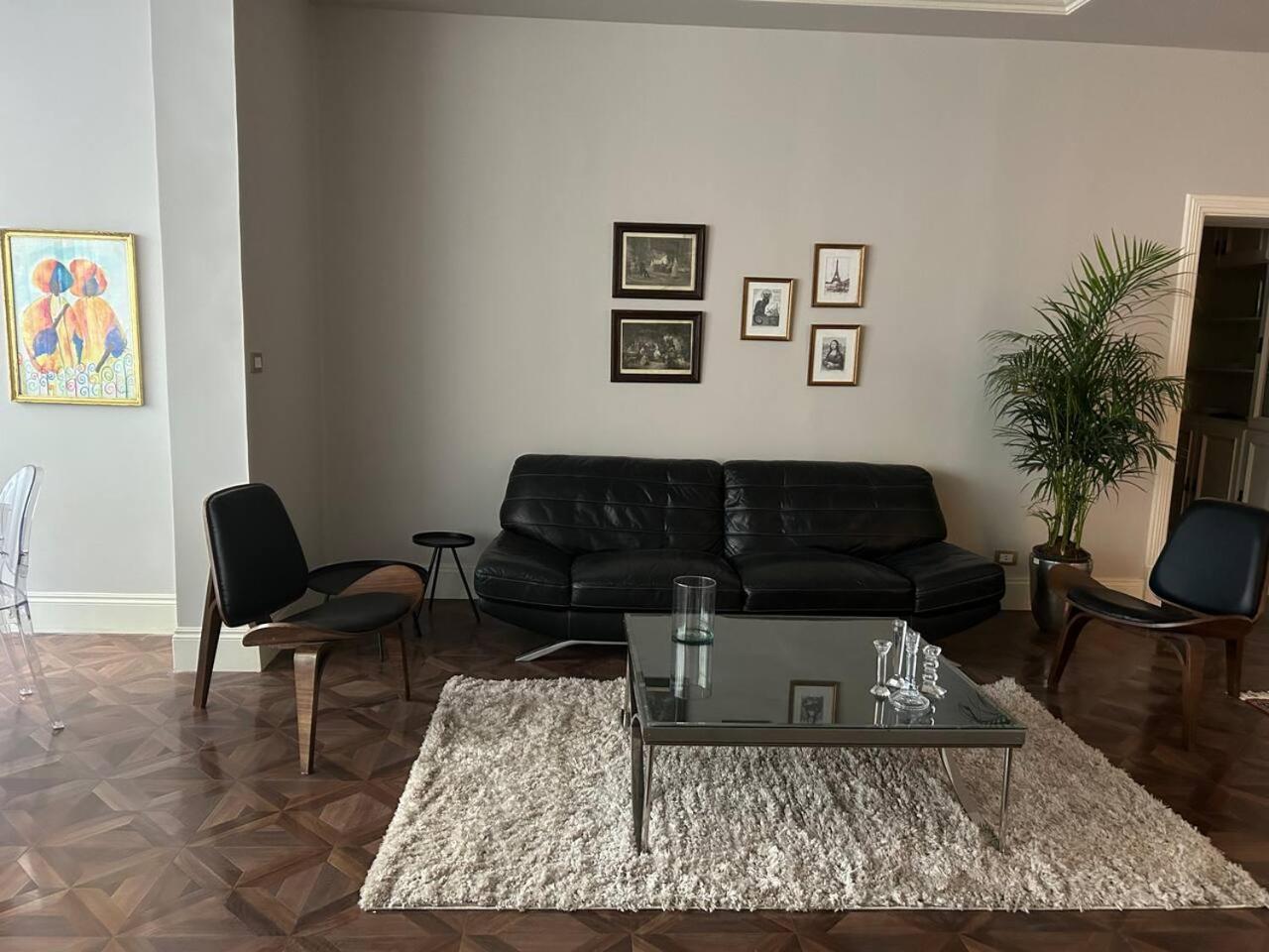 Charming luxurious 2 bedroom apartment in zamalek