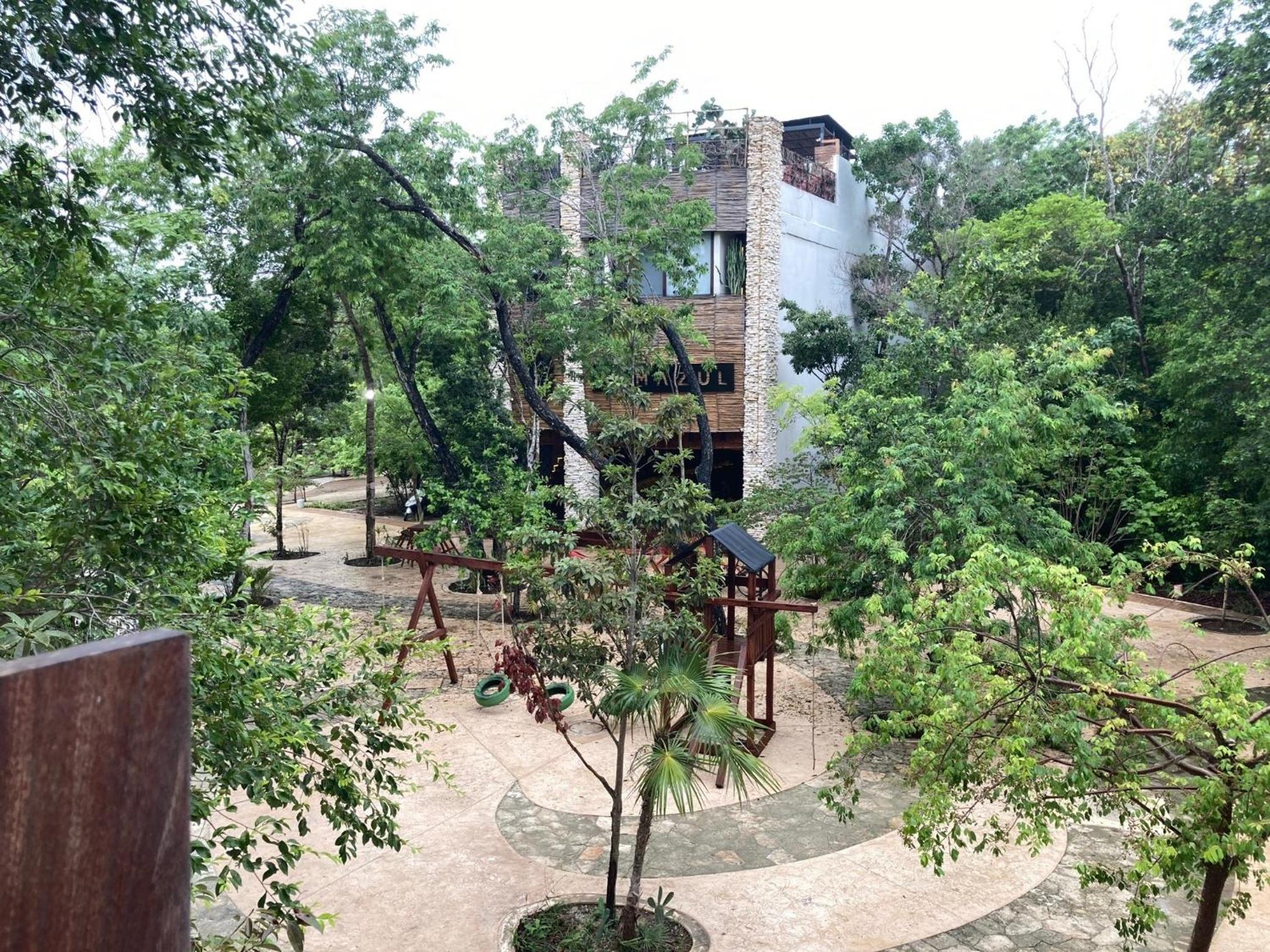 Photo 21