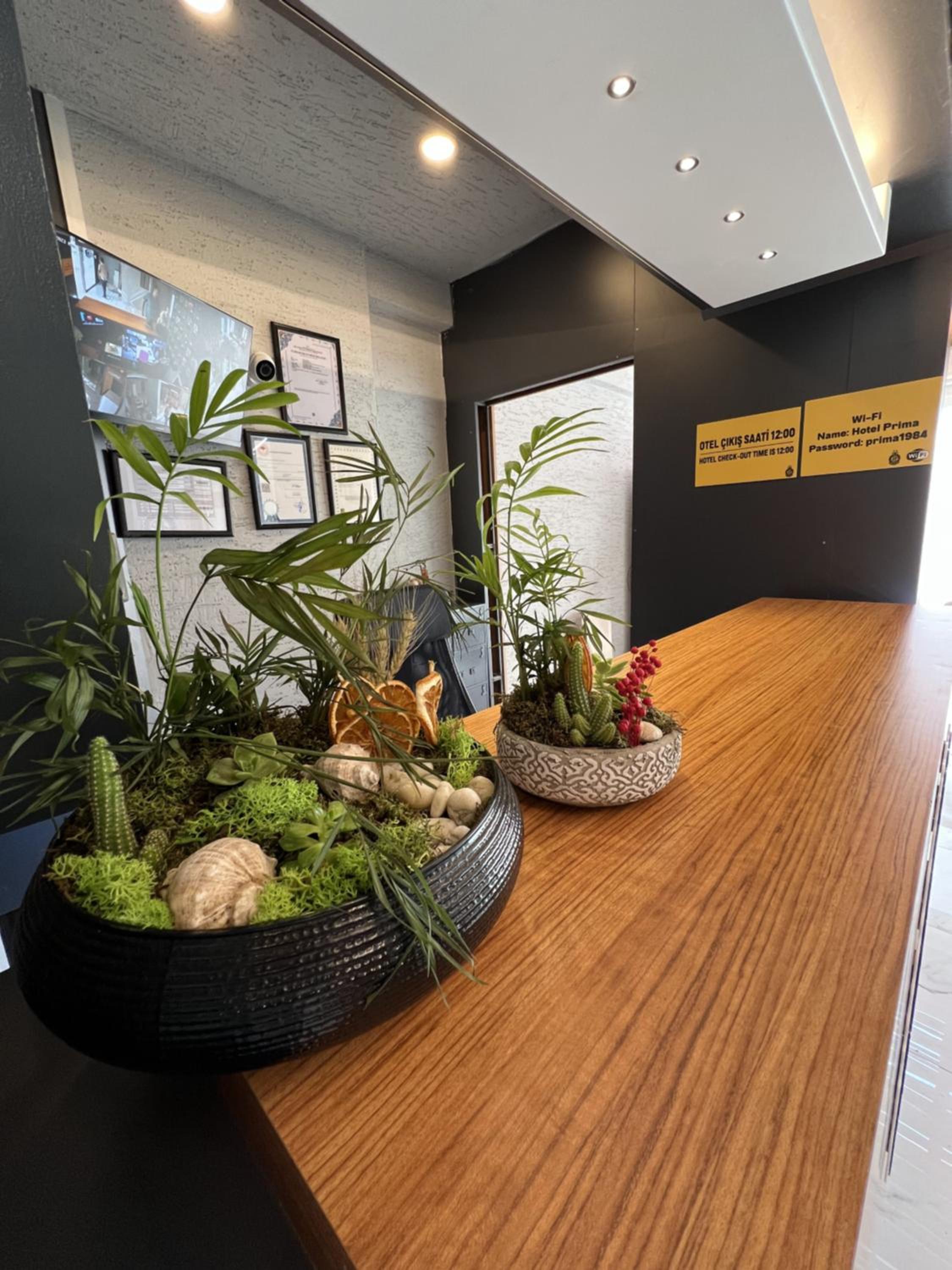 Hotel Prima - Image 12