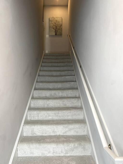 Spacious 3Bedroom Duplex with Rooftop Deck! view 4
