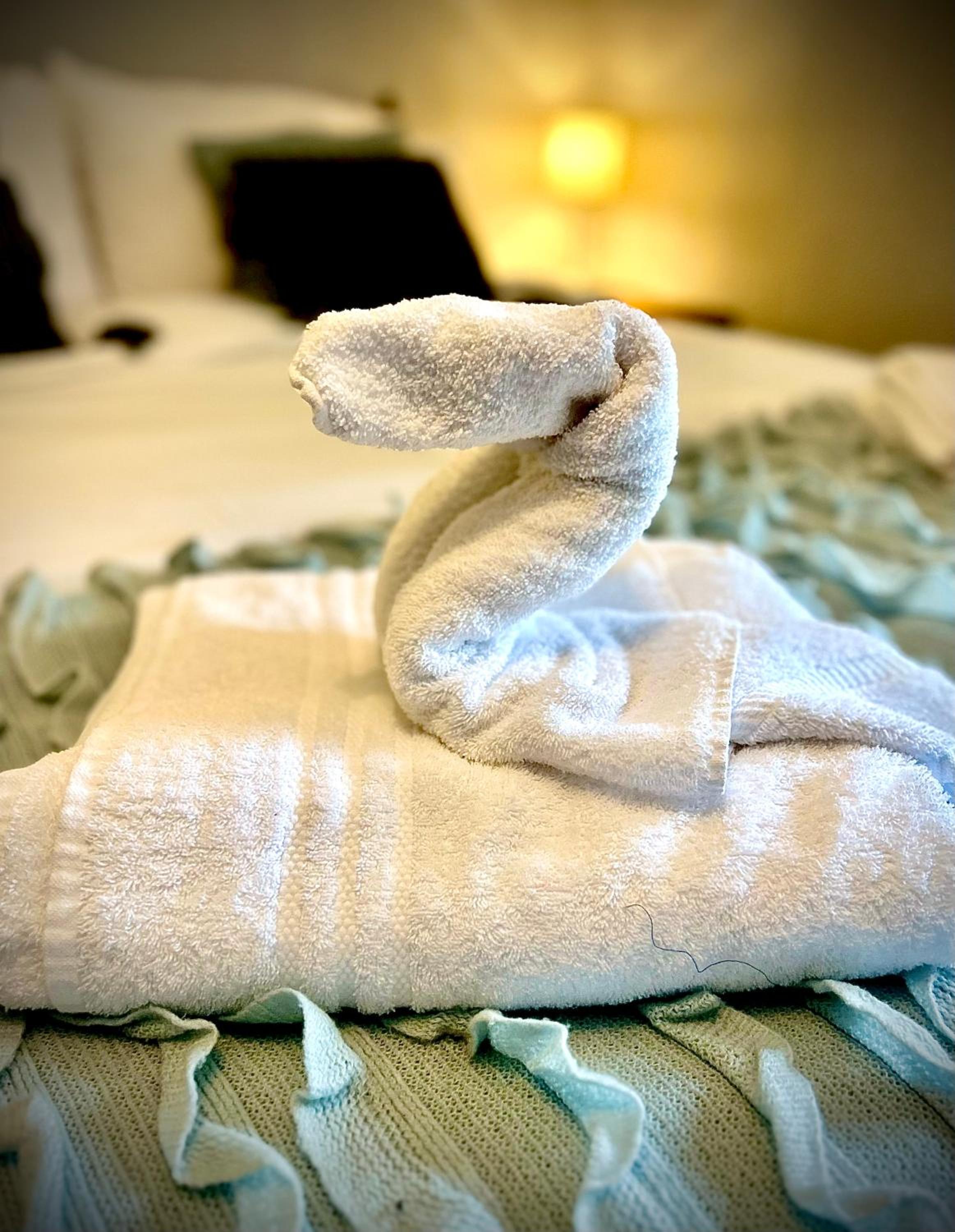 Stroud Vacations - Springbank Cottage by MaisonPro - Property Image 8