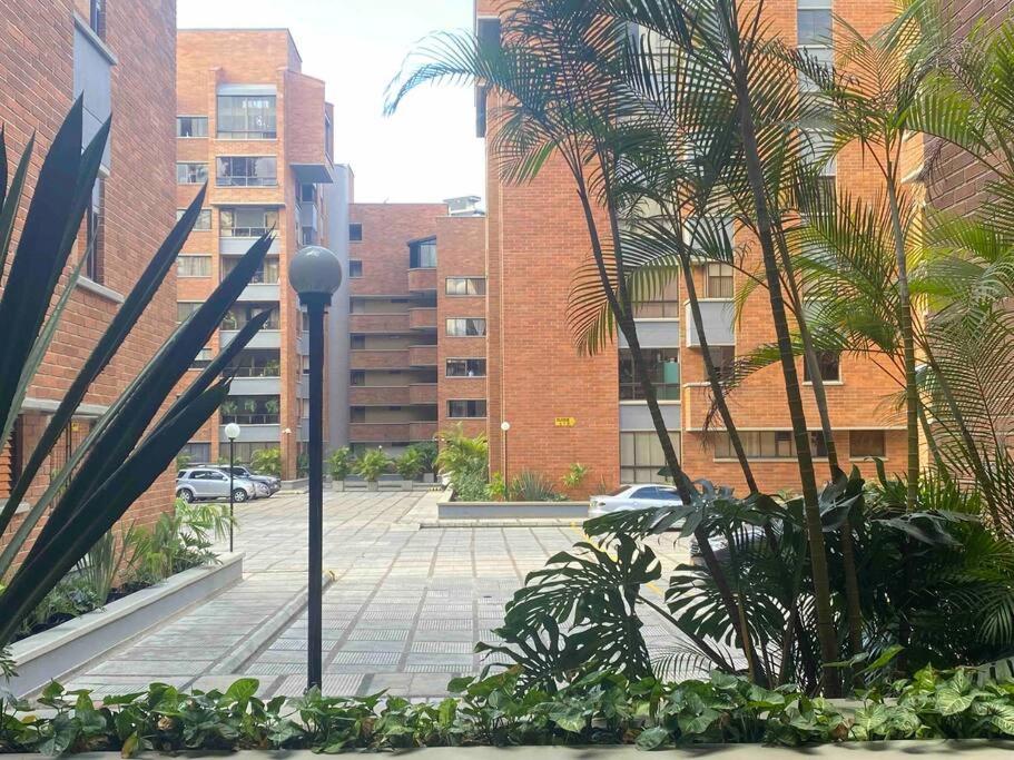 Bosques 8 pax