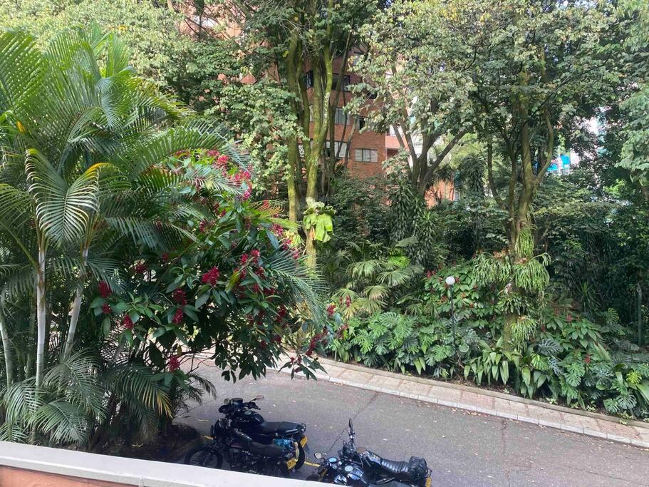 Bosques 8 pax