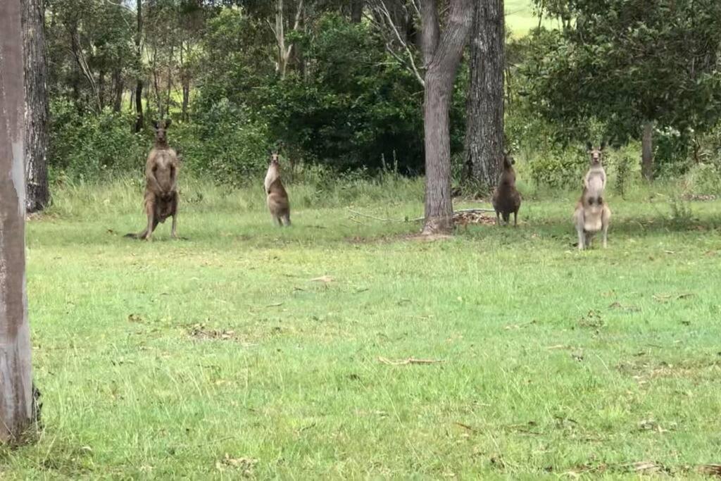 MANGO LODGE River Heads