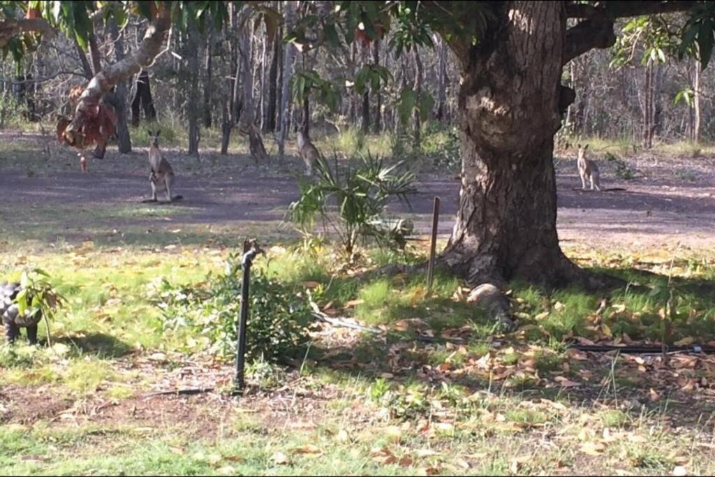 MANGO LODGE River Heads