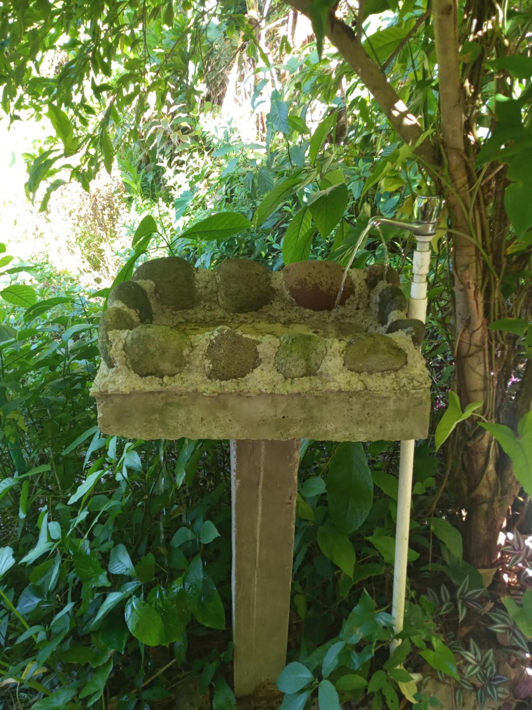 Berkey's Jungle Paradise Resort