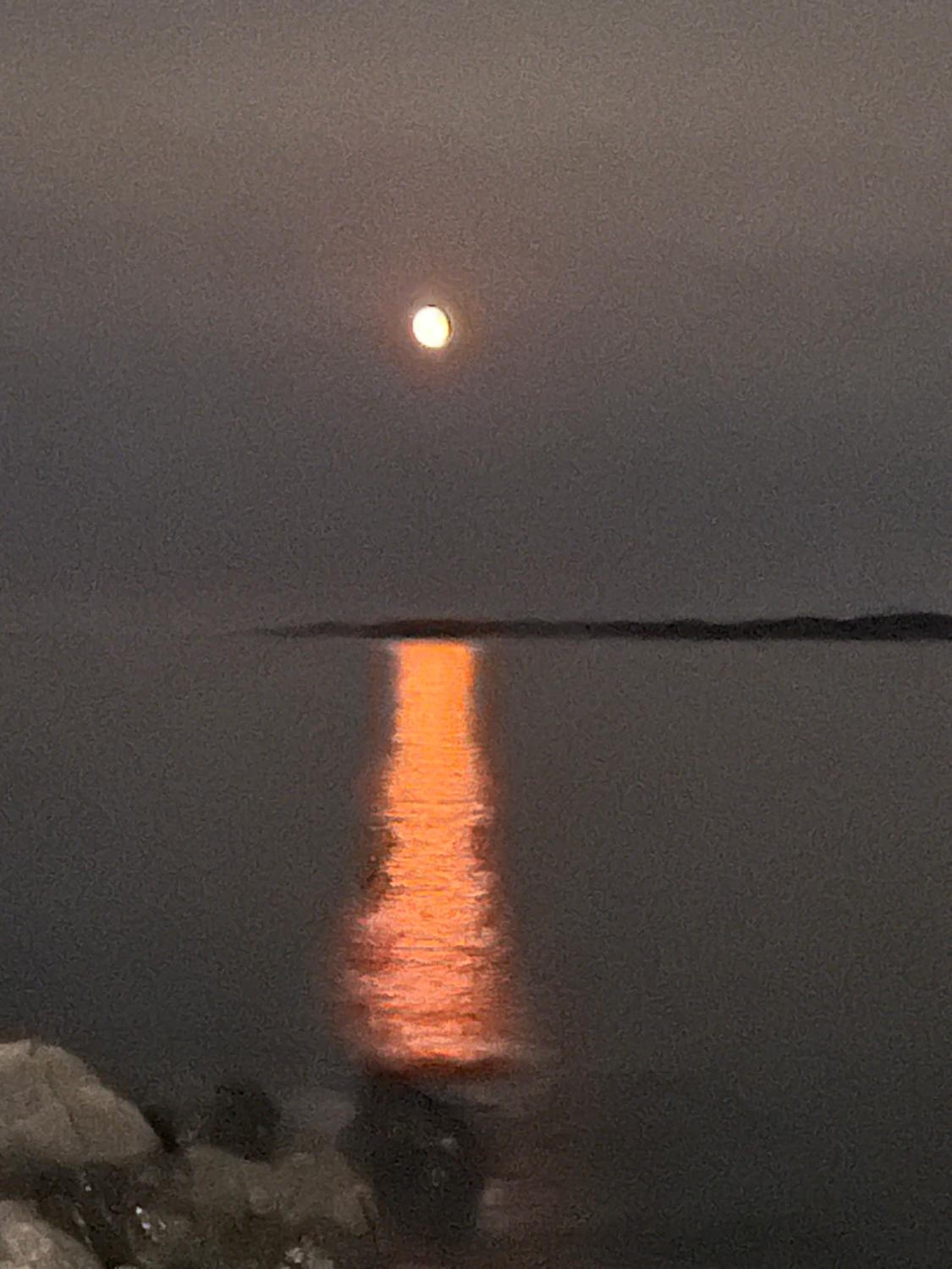 The View suites and breakfast in Triton, Newfoundland