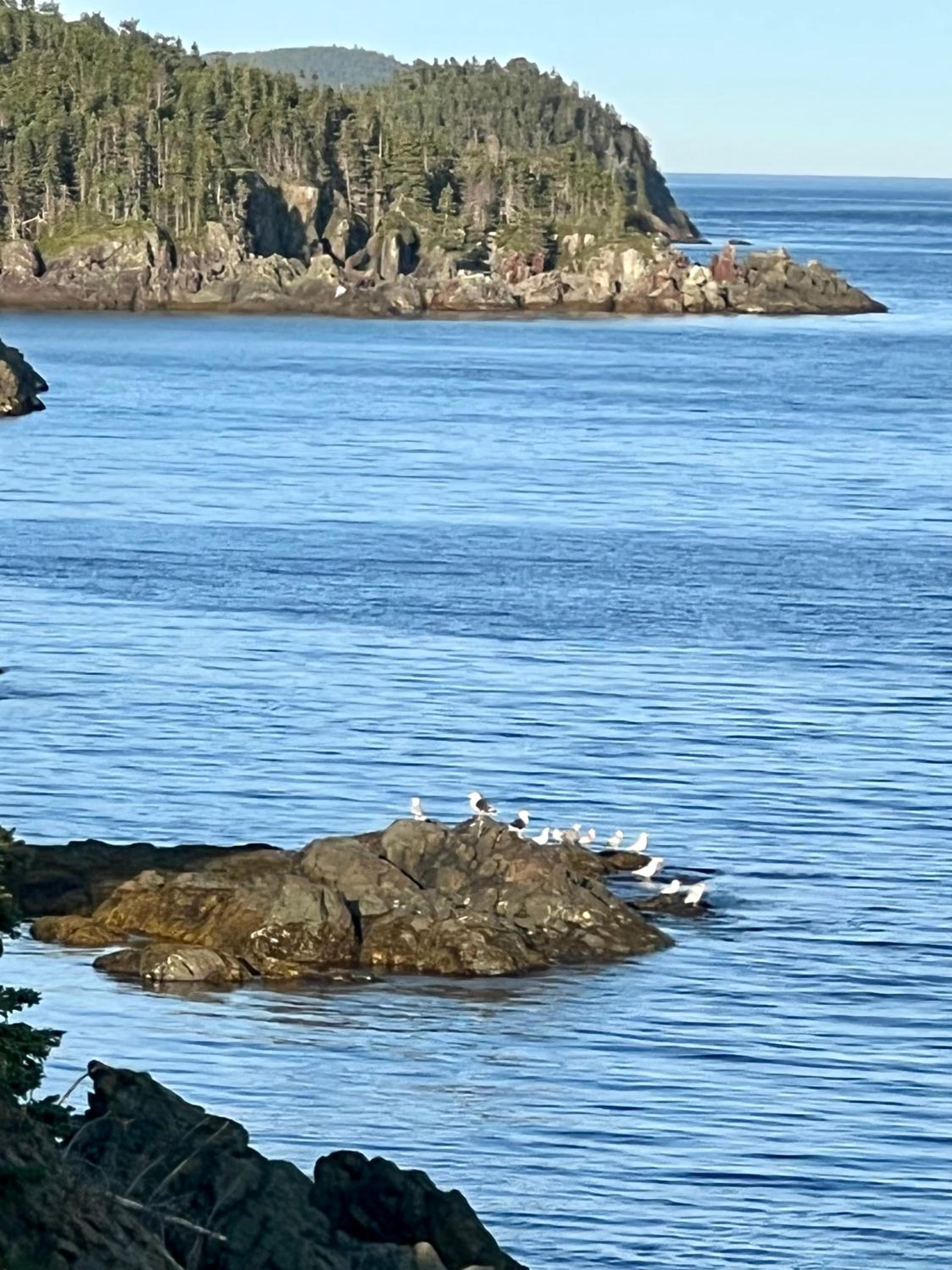 The View suites and breakfast in Triton, Newfoundland