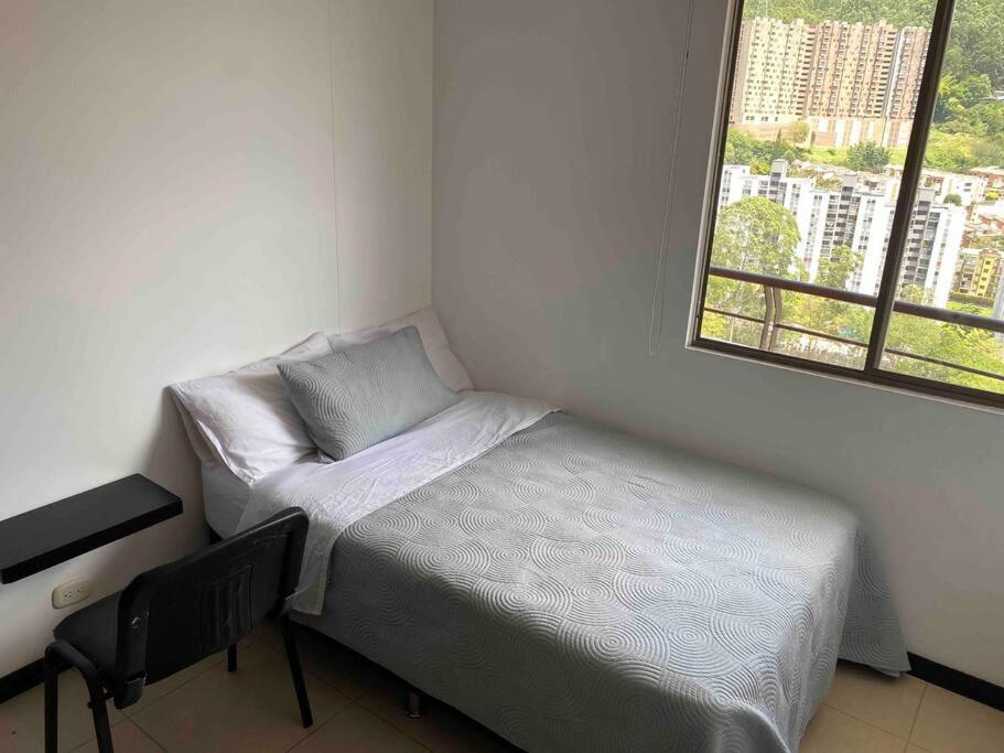Entre palmas de San Diego 6 Pax