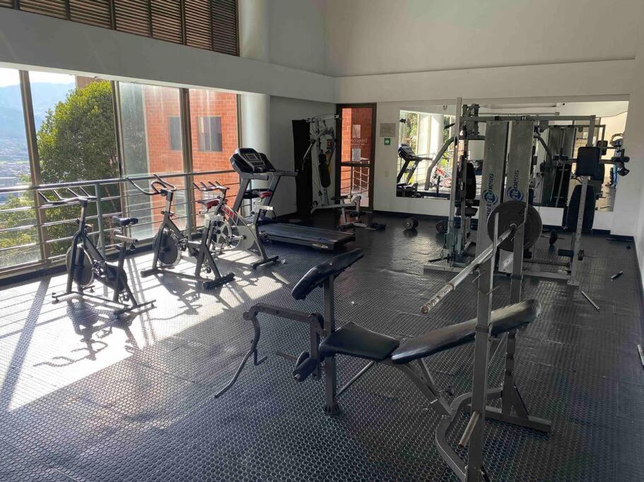 Entre palmas de San Diego 6 Pax