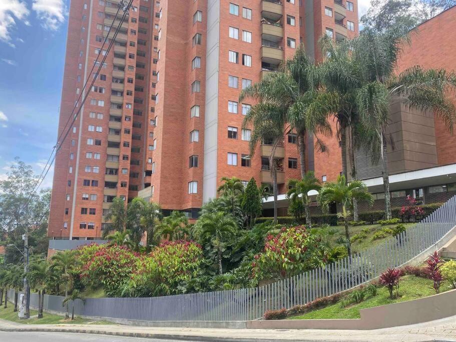 Entre palmas de San Diego 6 Pax