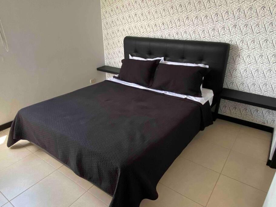 Entre palmas de San Diego 6 Pax