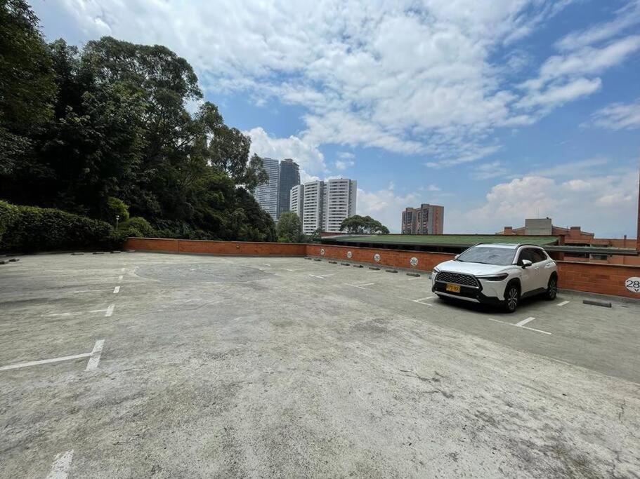 Entre palmas de San Diego 6 Pax