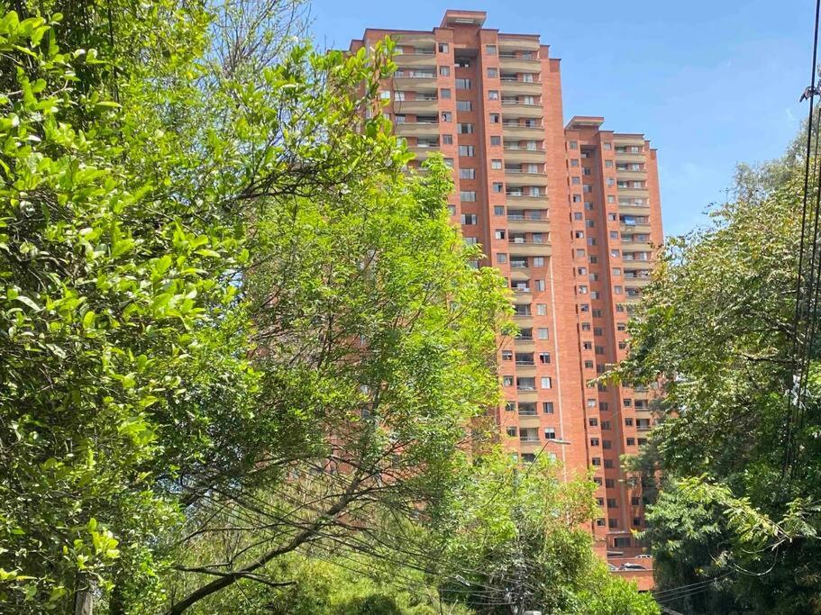 Entre palmas de San Diego 6 Pax