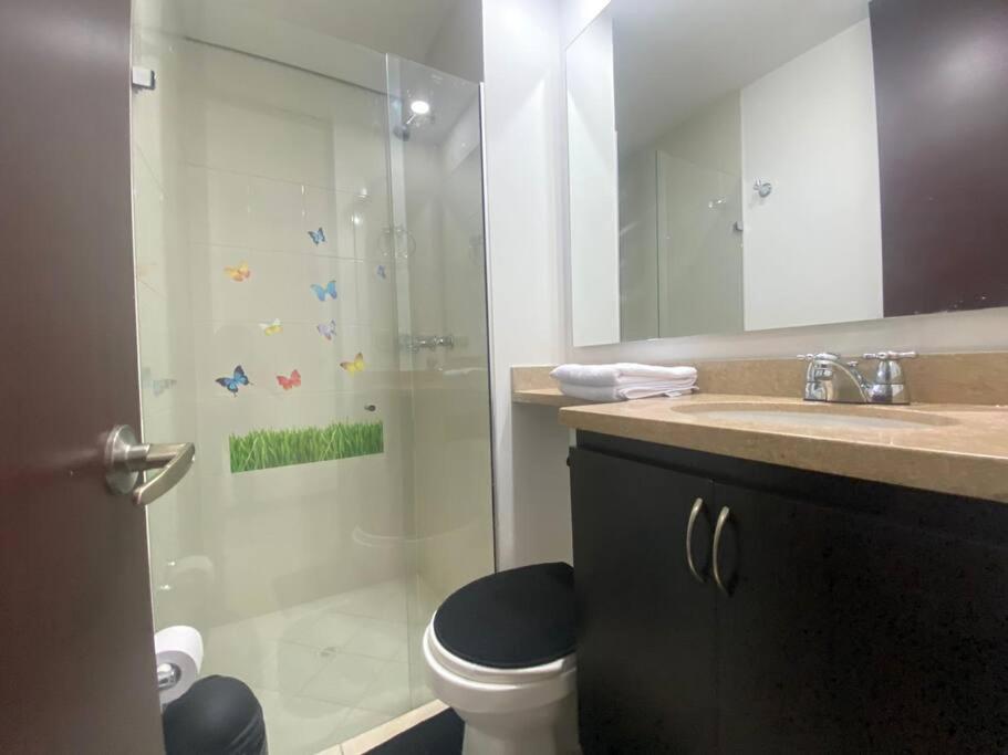 Entre palmas de San Diego 6 Pax
