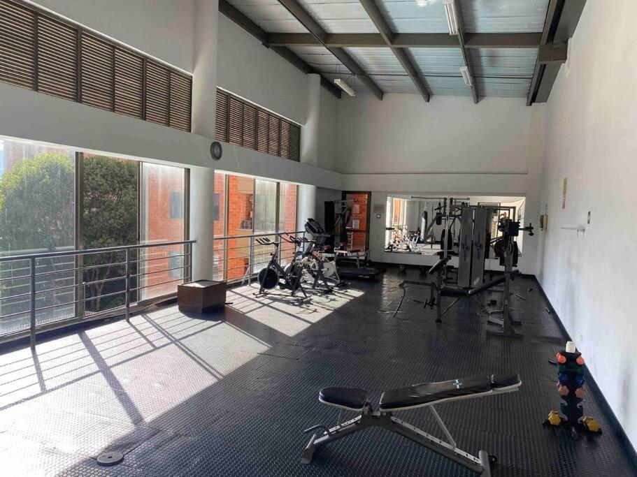 Entre palmas de San Diego 6 Pax