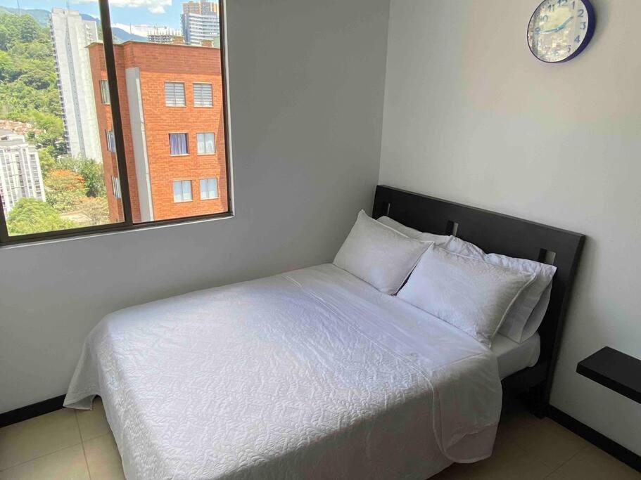 Entre palmas de San Diego 6 Pax