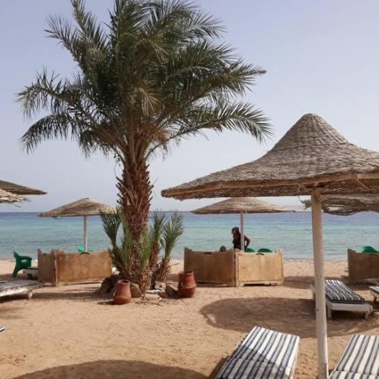 Charming Marina Crib Pool Beach Gym Spa