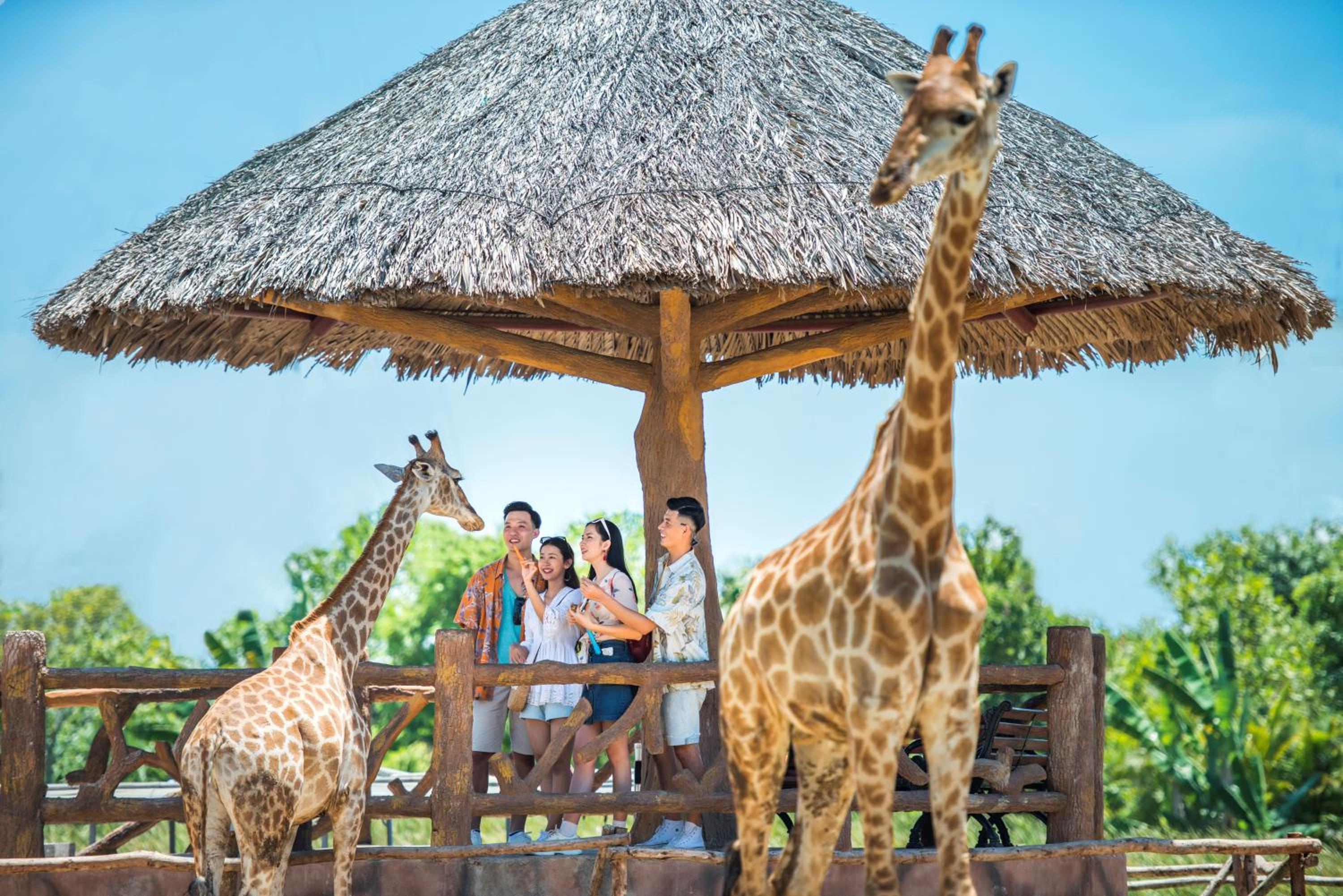 Hoi An Vacations - Vinpearl Resort  Golf Nam Hoi An - Property Image 52