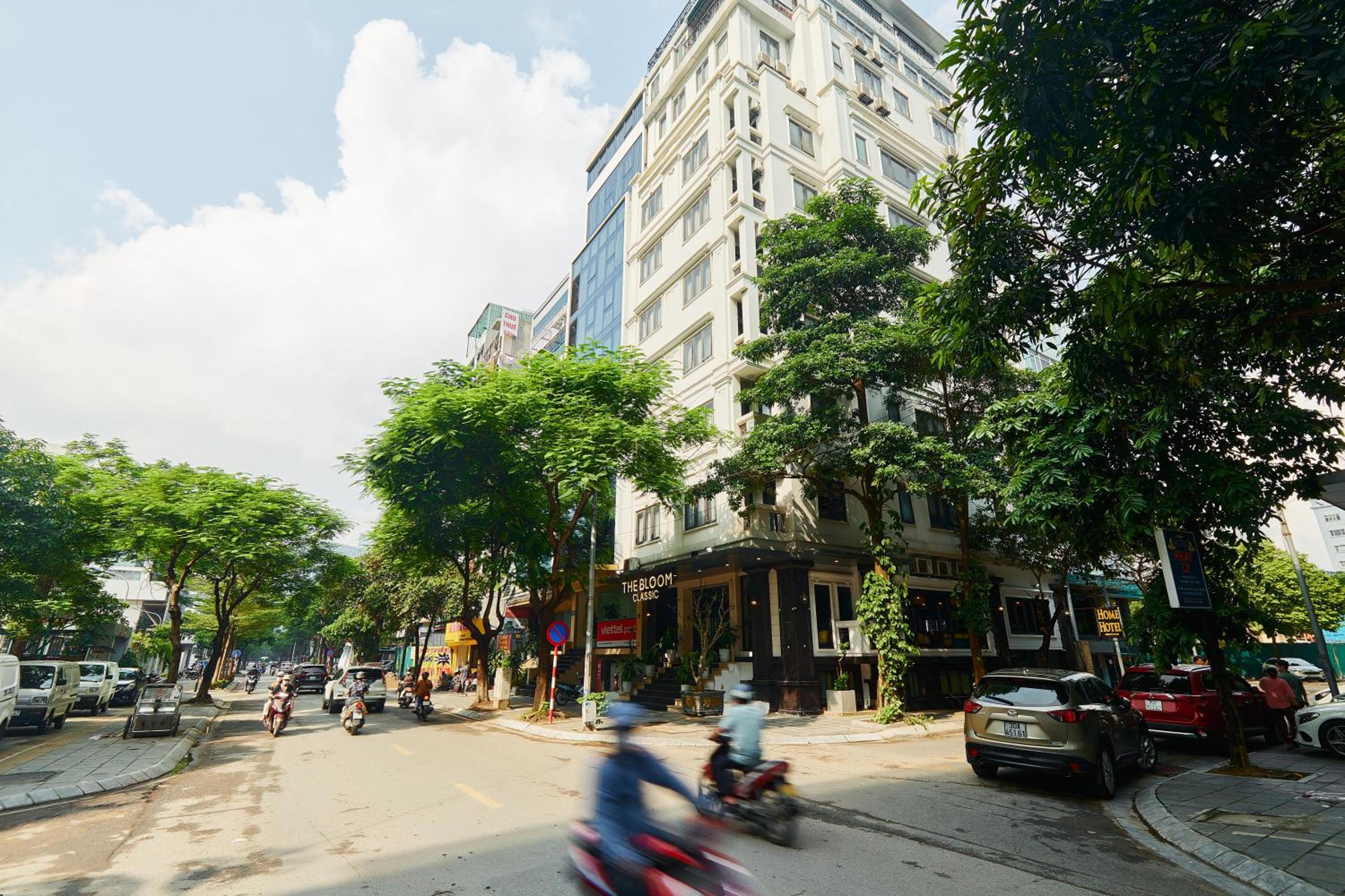 The Bloom Classic - An Excellent Blend of Cozy Living and Urban Relaxation