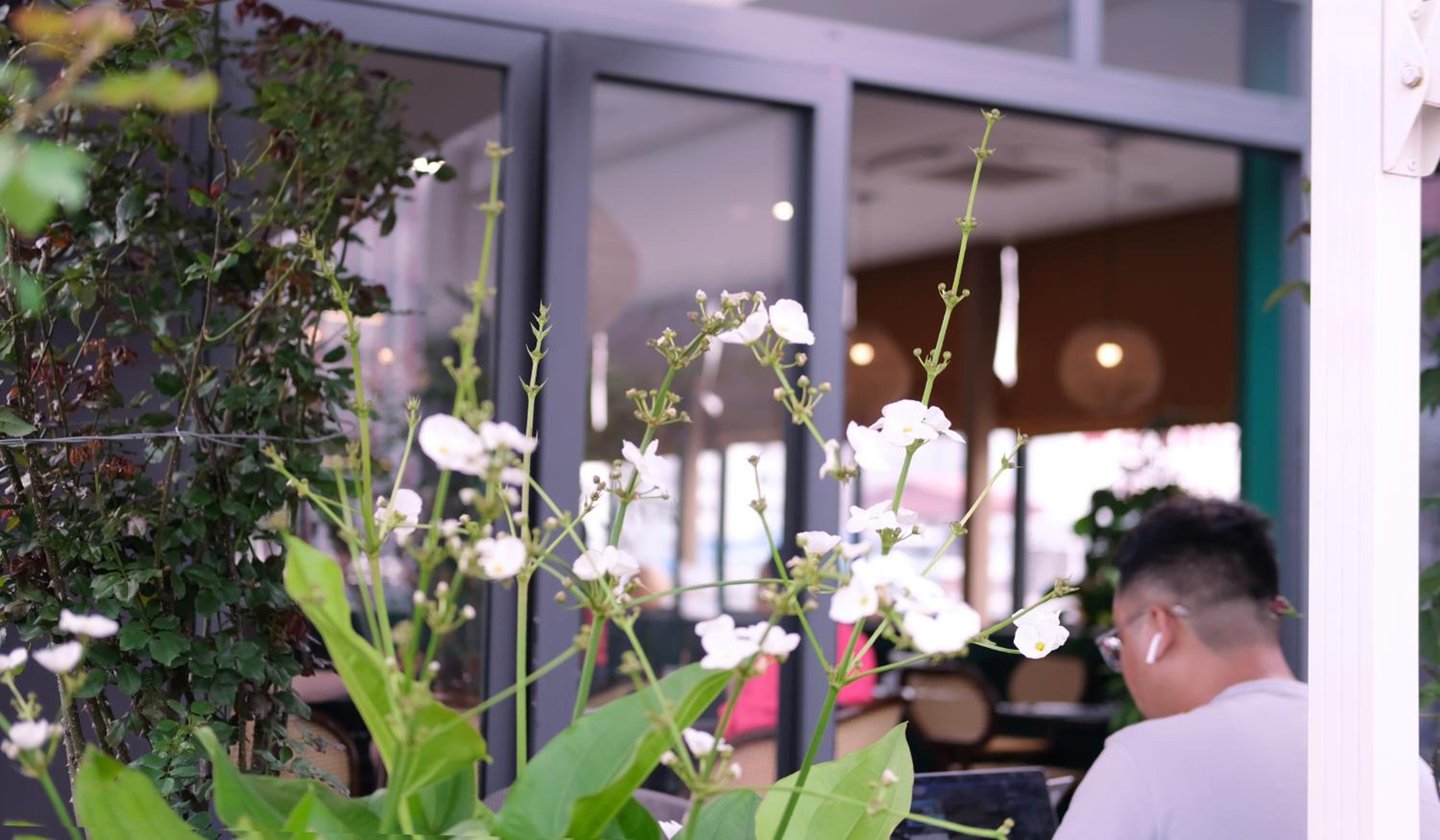 The Bloom Classic - An Excellent Blend of Cozy Living and Urban Relaxation
