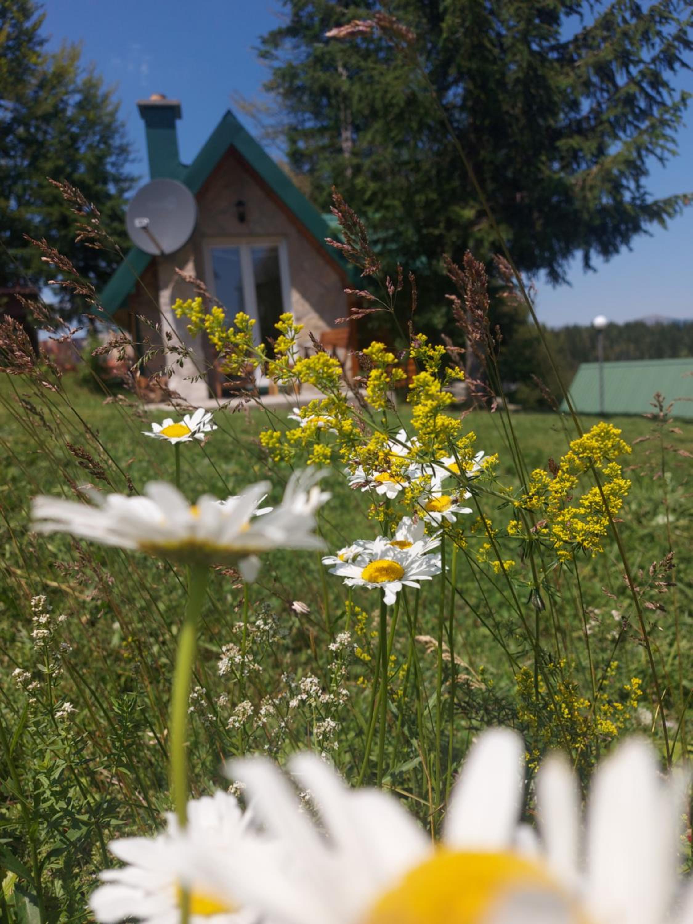 Durmitor Bungalows view 2