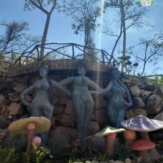 Photo 21