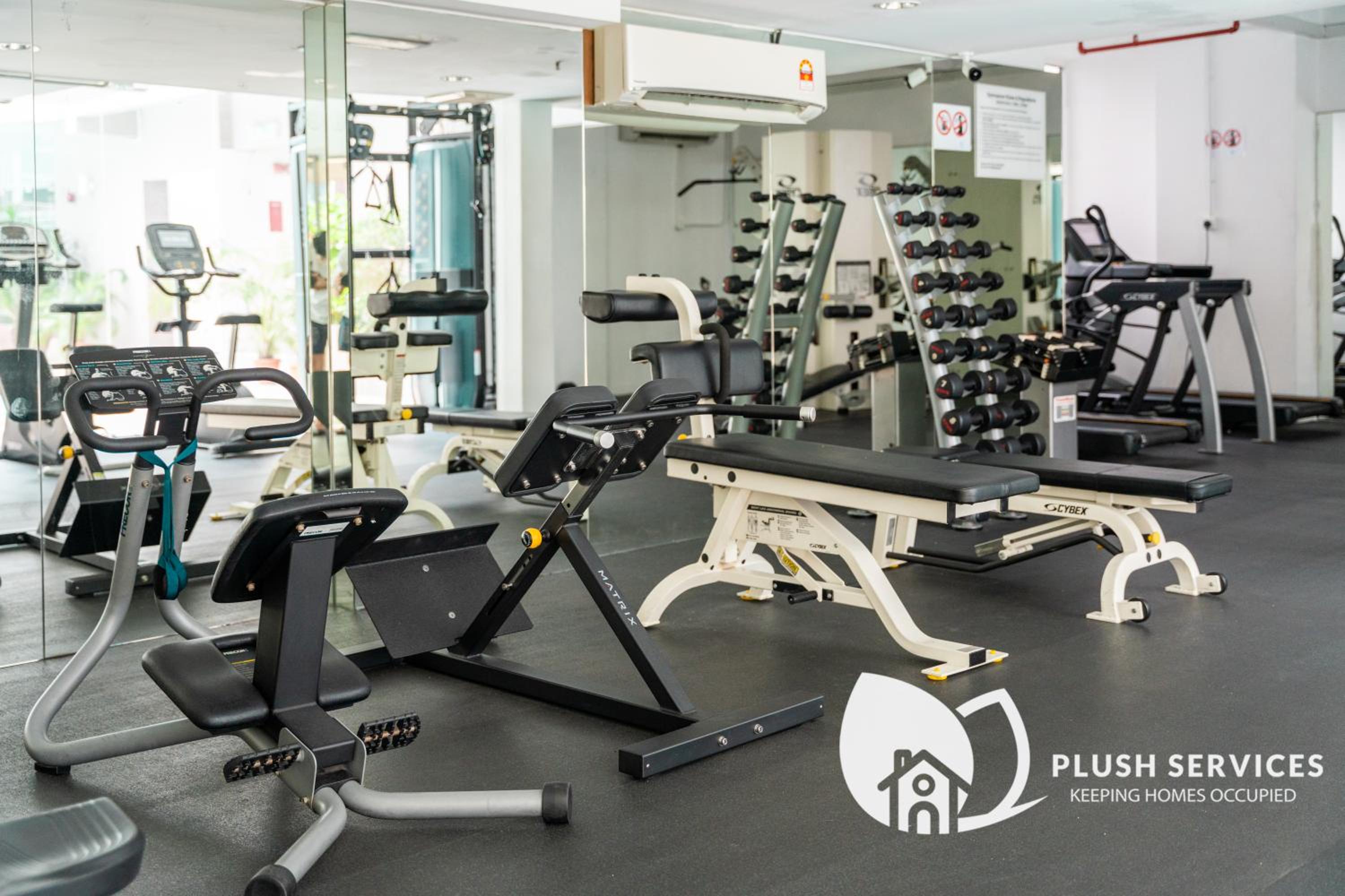 Bintang Goldhill by Plush