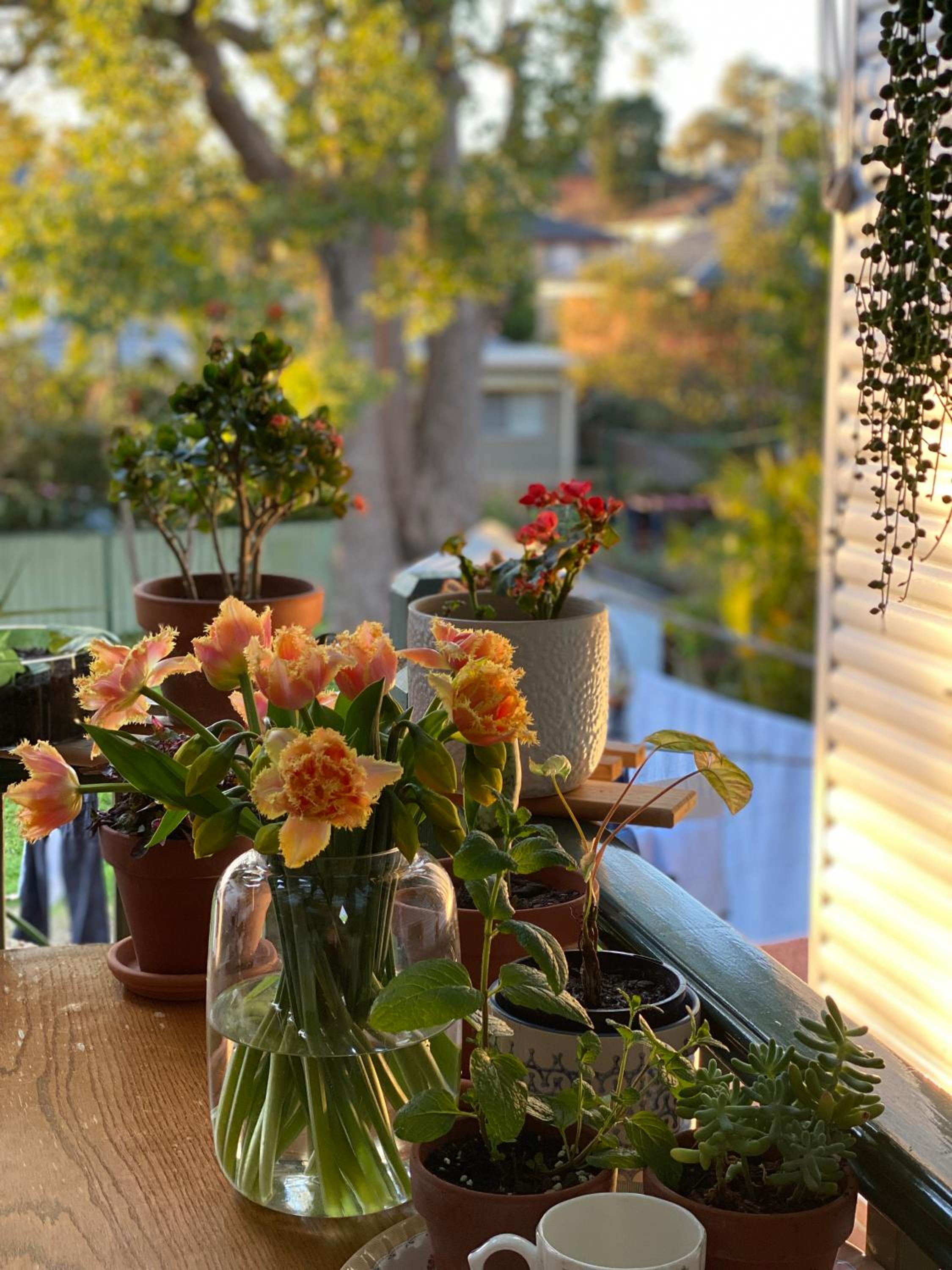 En-suite Guest Room Ryde/Macquarie Park/Eastwood